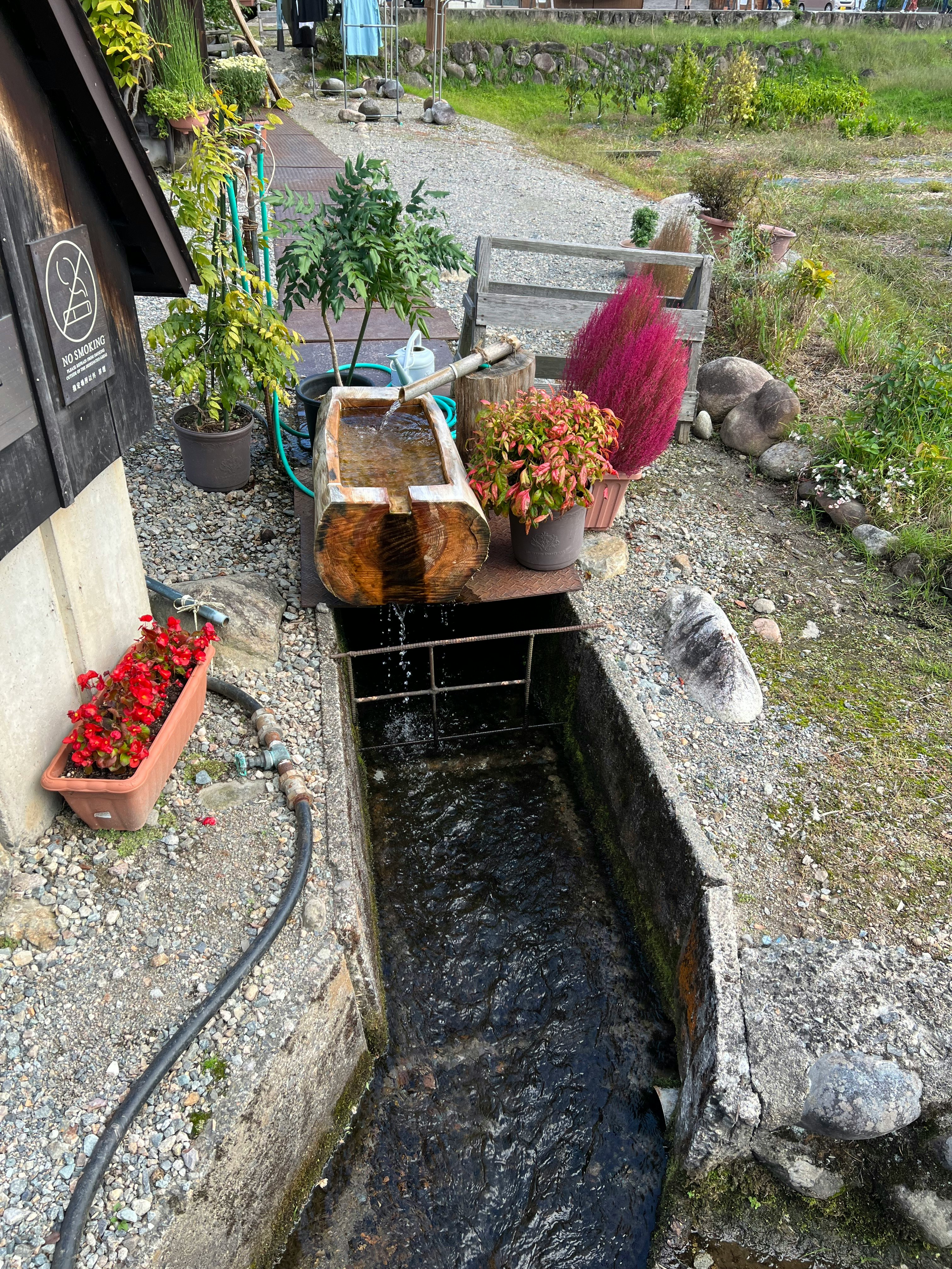 小さな庭の水路と鉢植えが並ぶ路地