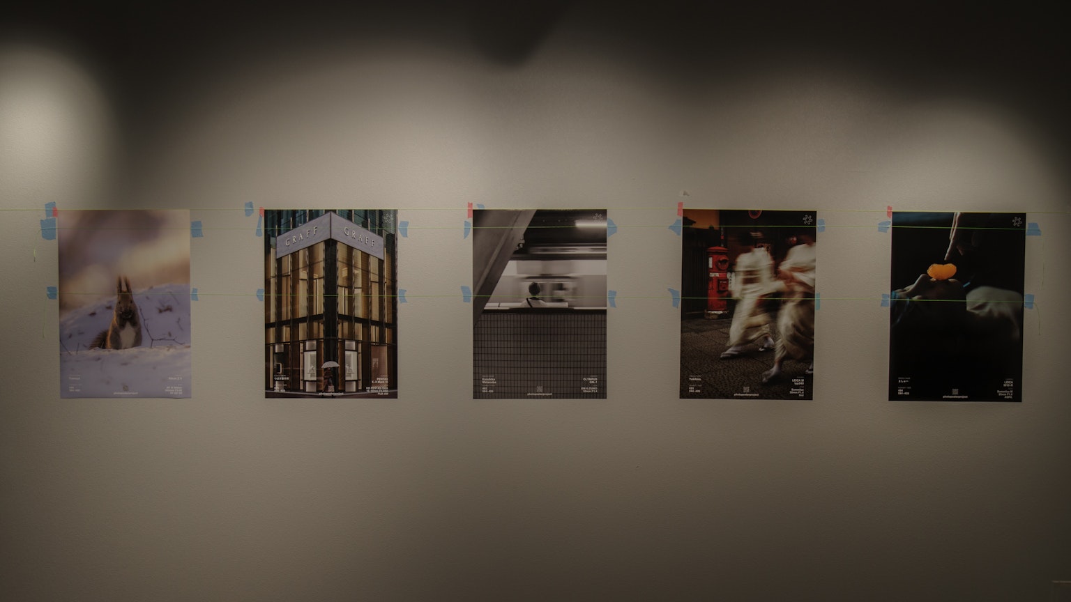 Five art posters displayed on a wall in a gallery