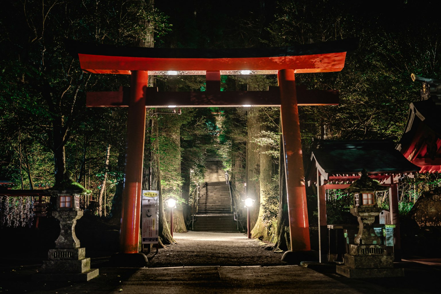 Torii illuminato di notte circondato da alberi