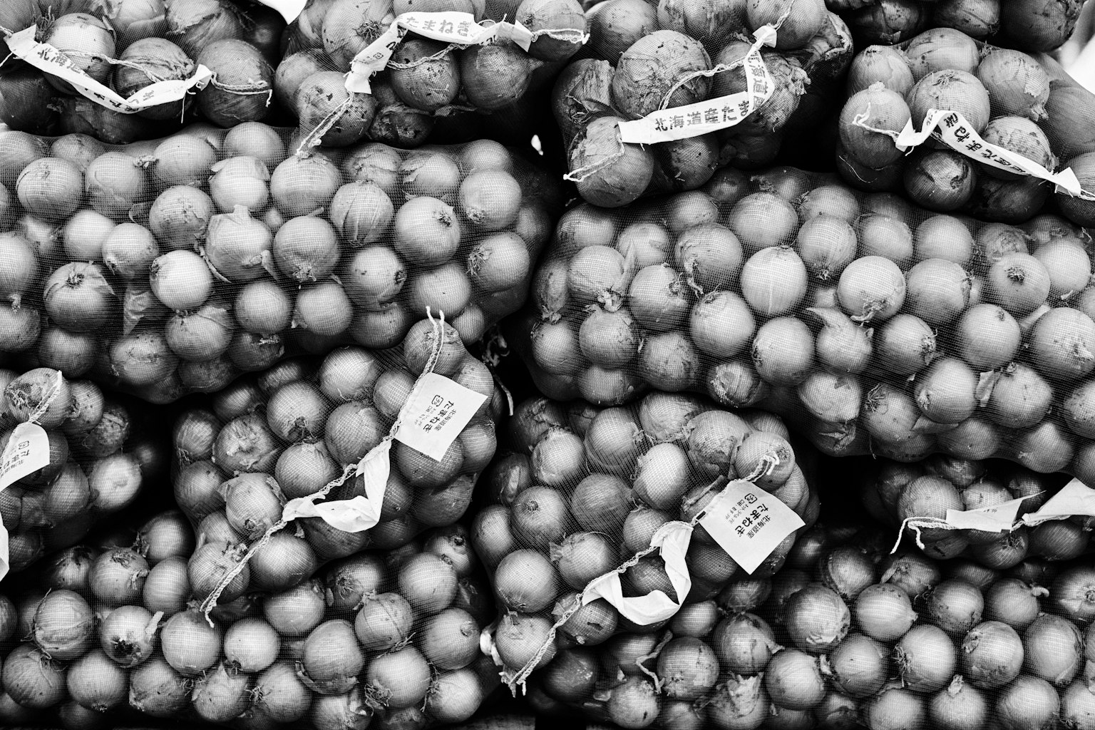 Mucchi di cipolle in bianco e nero al mercato
