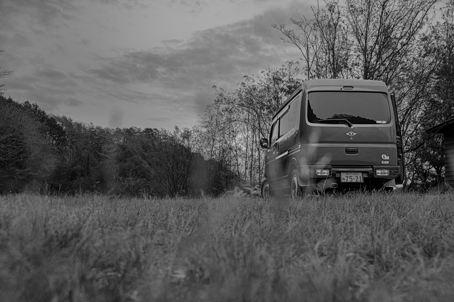 Ein Lieferwagen auf Gras mit Bäumen im Hintergrund