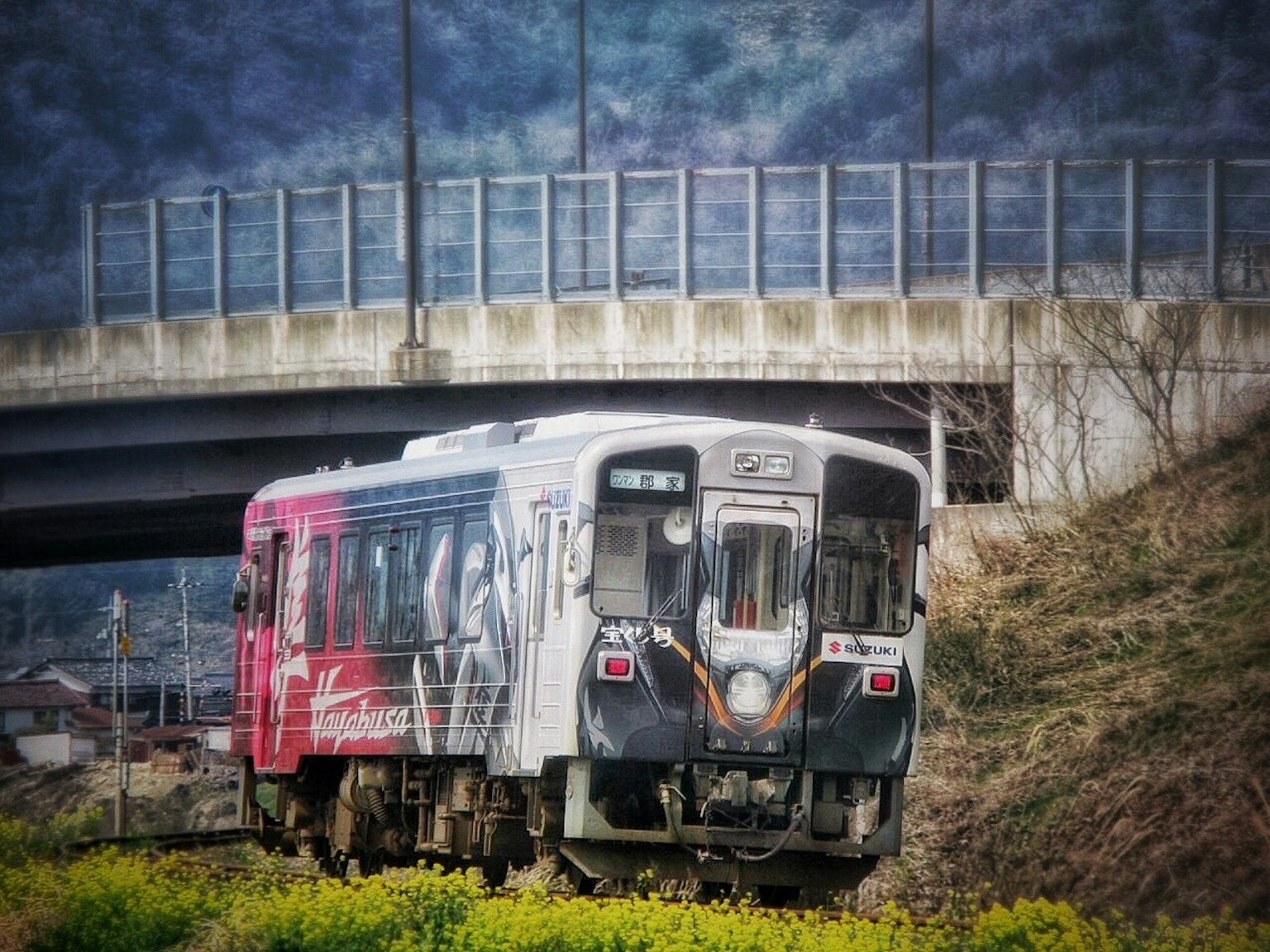 Un treno coperto di graffiti colorati che attraversa un'area erbosa