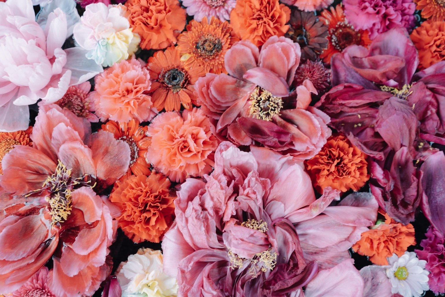 Un arrangement floral vibrant avec une variété de fleurs colorées