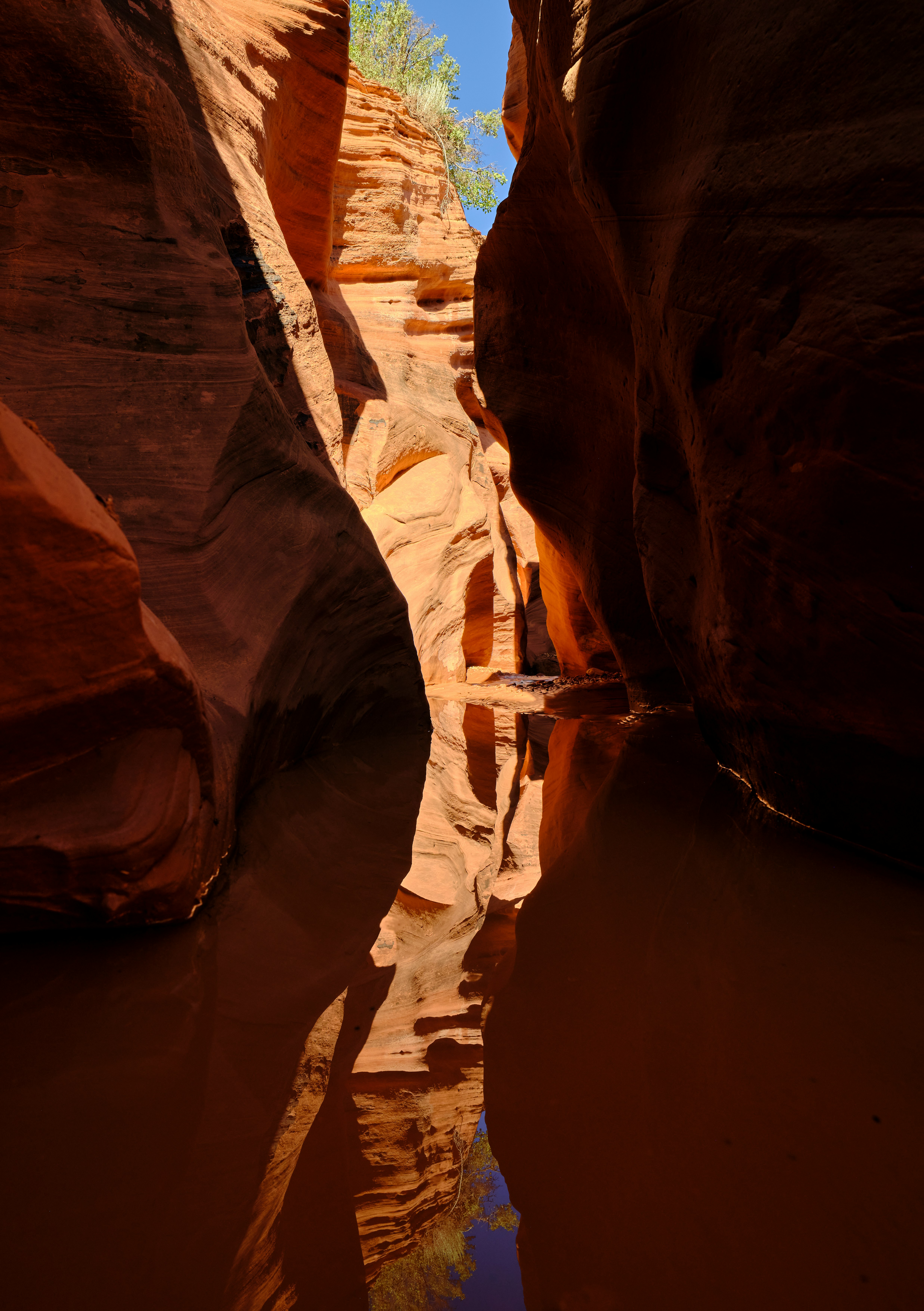 passaggio roccioso stretto in uno slot canyon fangoso