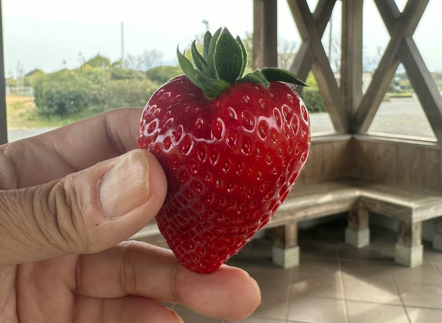Eine leuchtend rote Erdbeere in einer Hand gehalten
