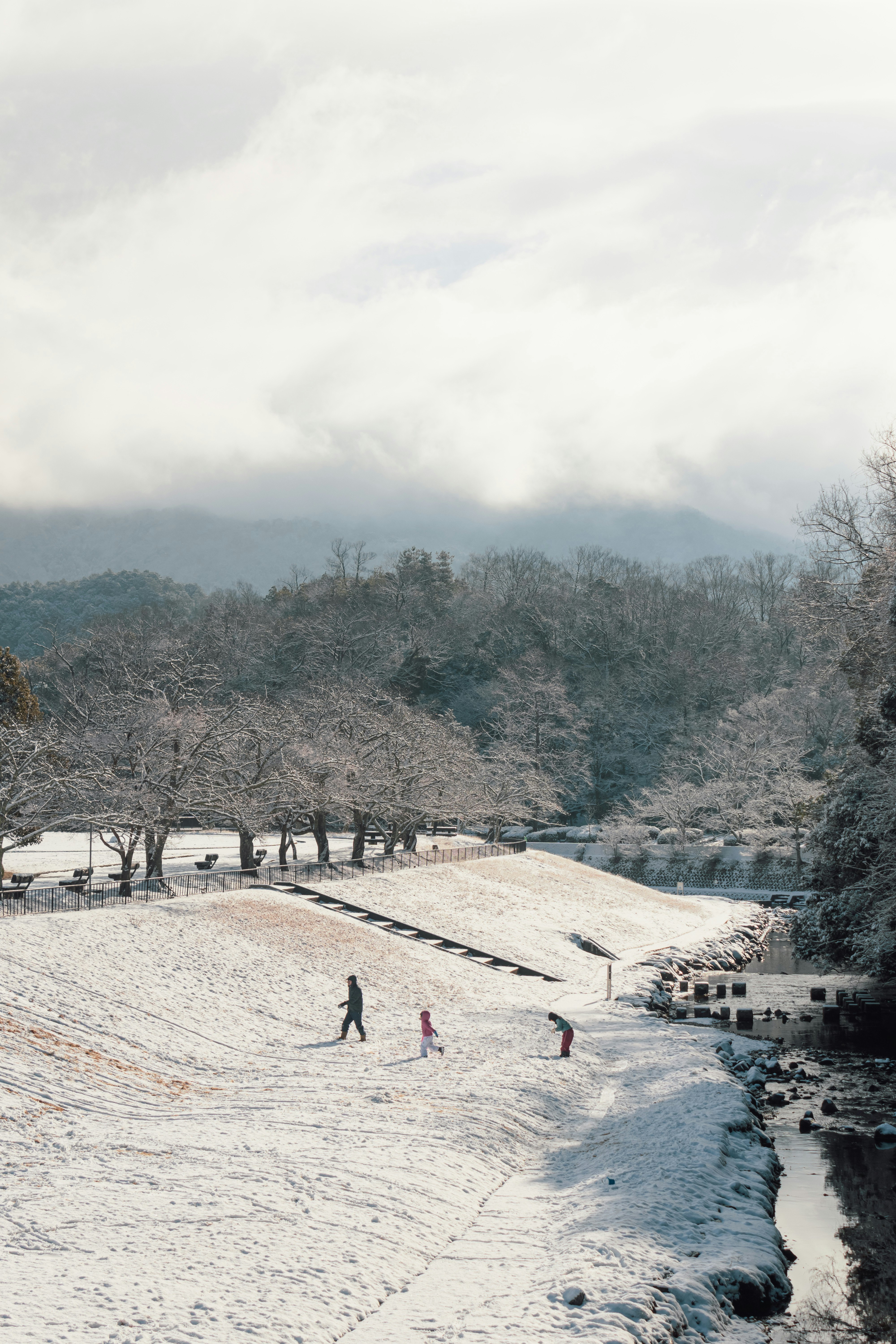 積雪覆蓋的河岸步道與長椅