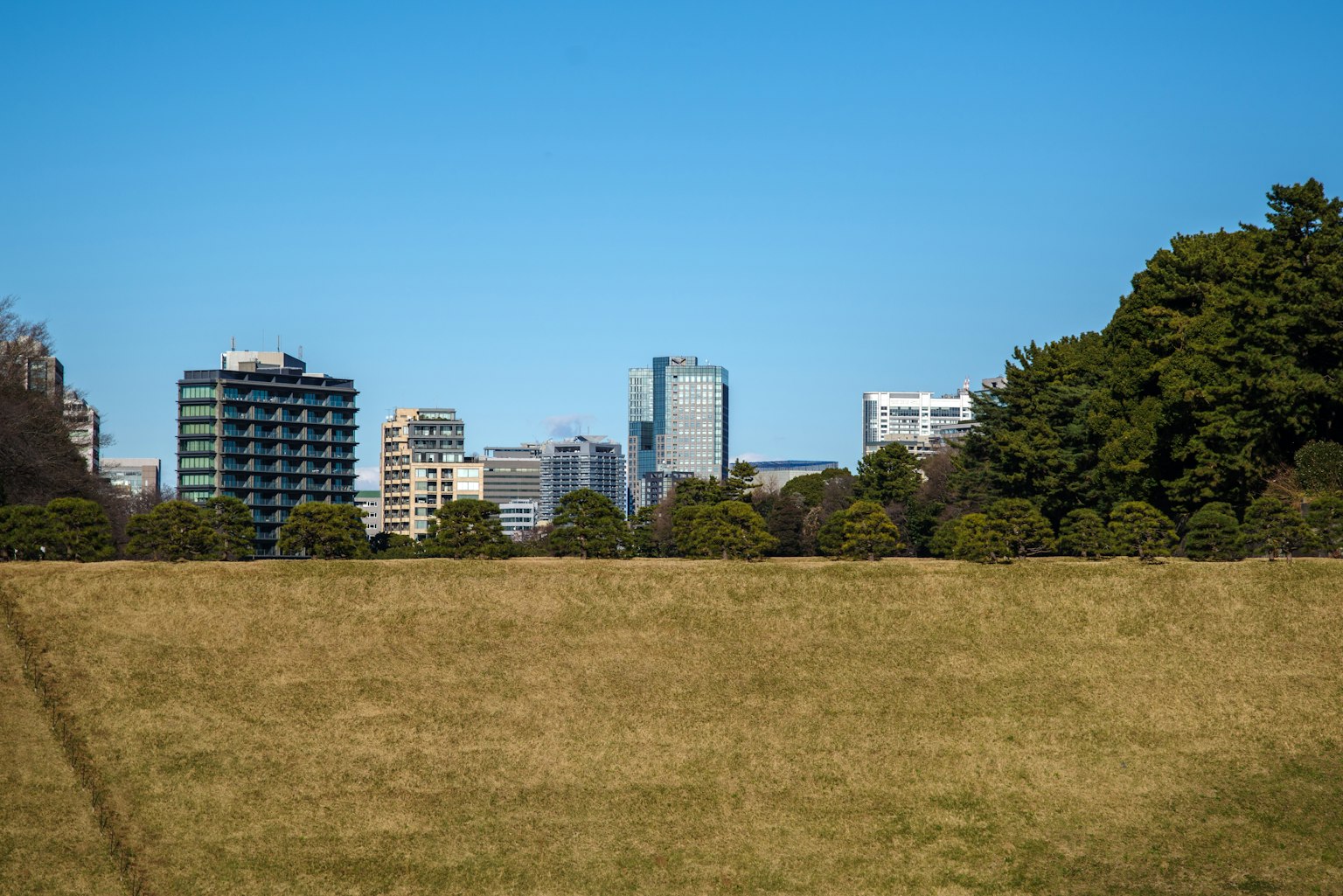 A grassy plain under a blue sky with city skyscrapers in the background