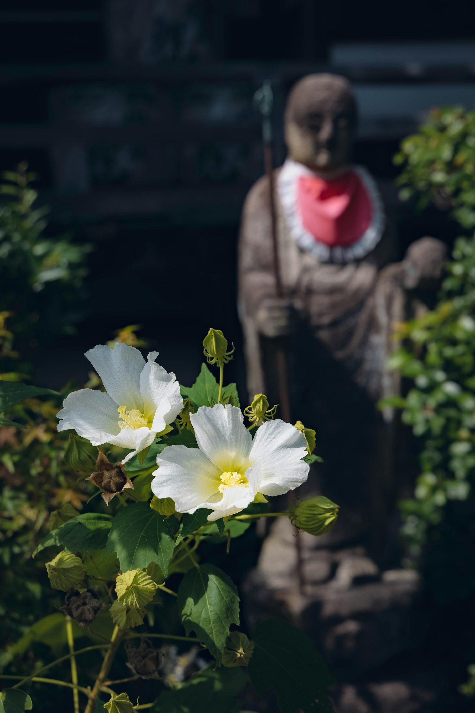 郁郁葱葱的花園中白色花朵與雕像