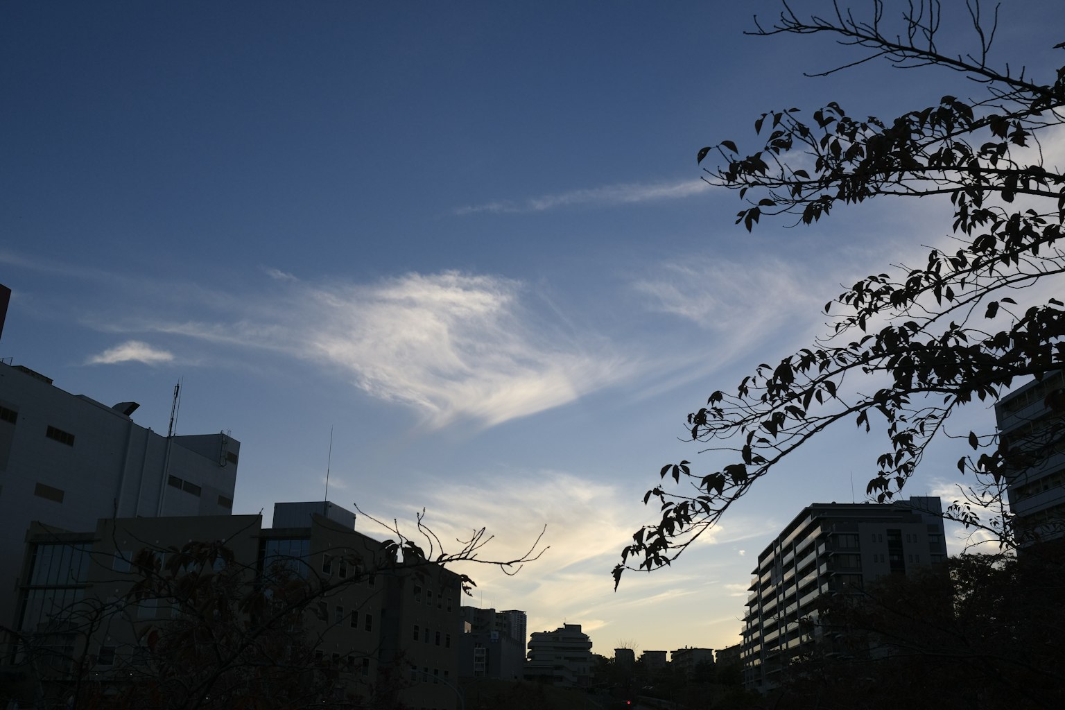 Urban sunset scene buildings silhouetted against a colorful sky