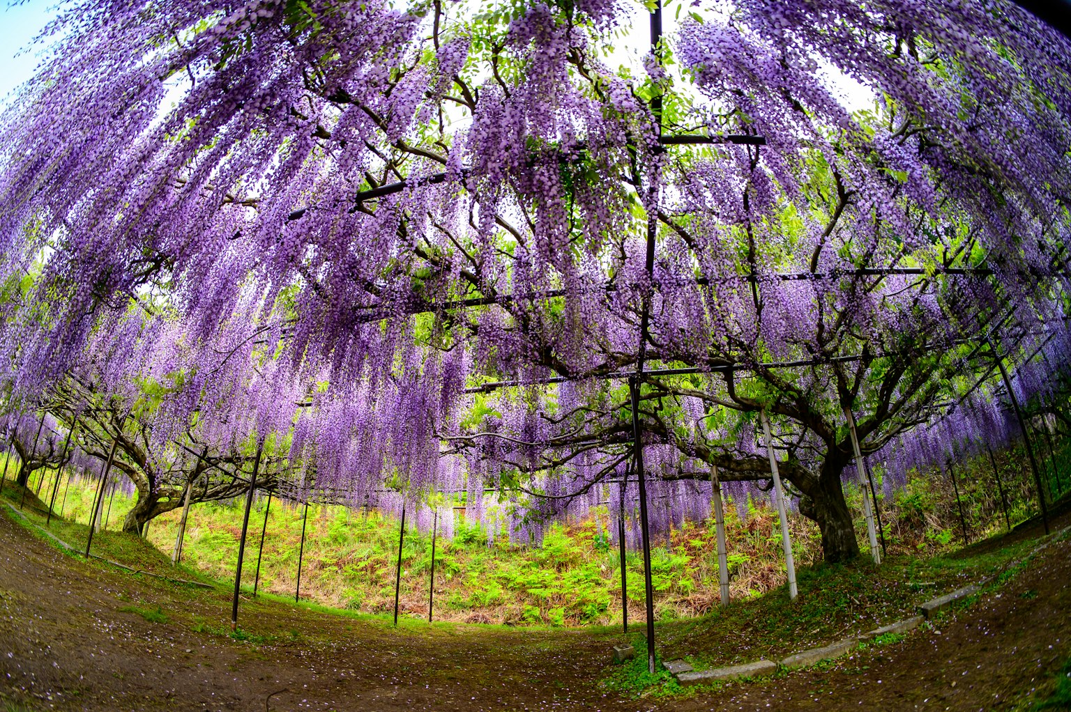 photo-IT5ofb6TJmQ8mDgNeLw7-image