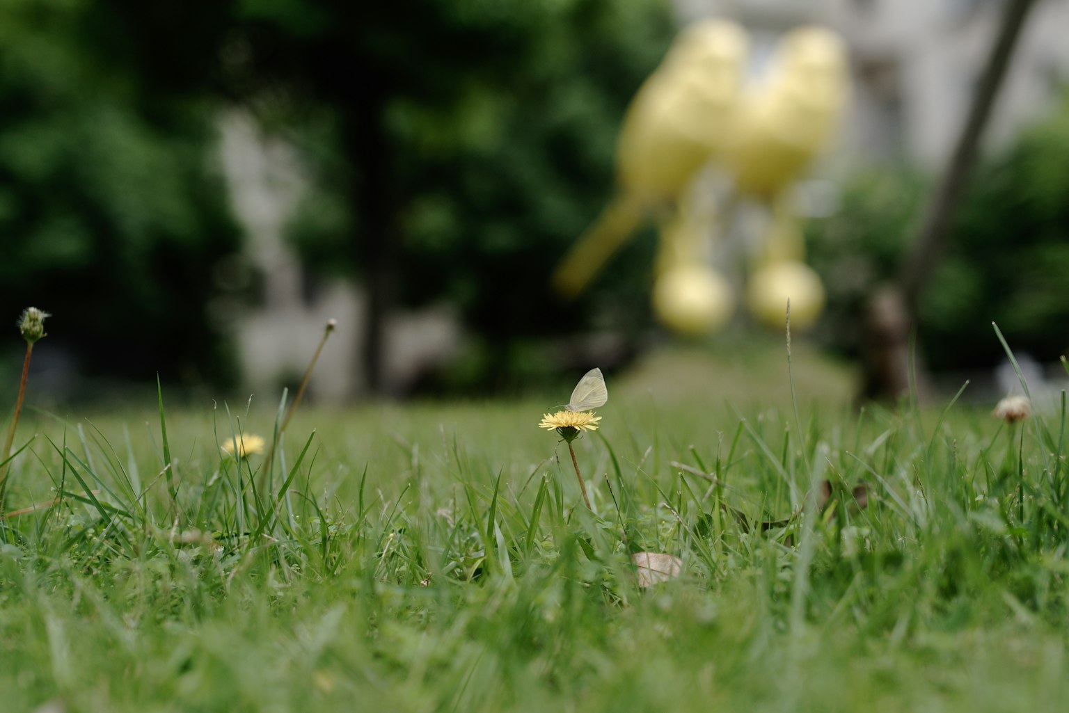 Pequeñas flores en la hierba con una escultura de pájaro amarillo borroso en el fondo