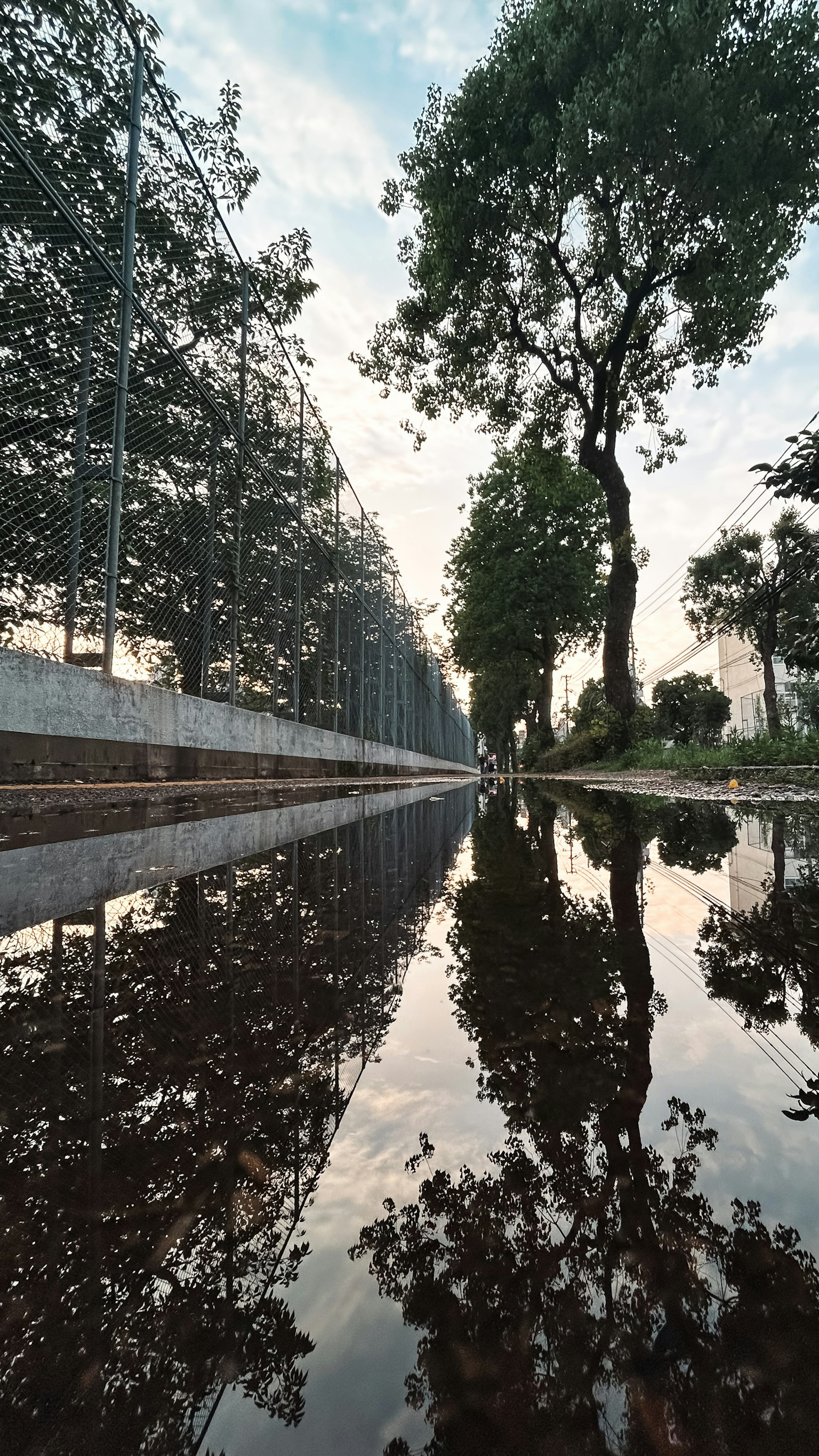 Reflejo de árboles y cielo en un charco con una cerca cercana