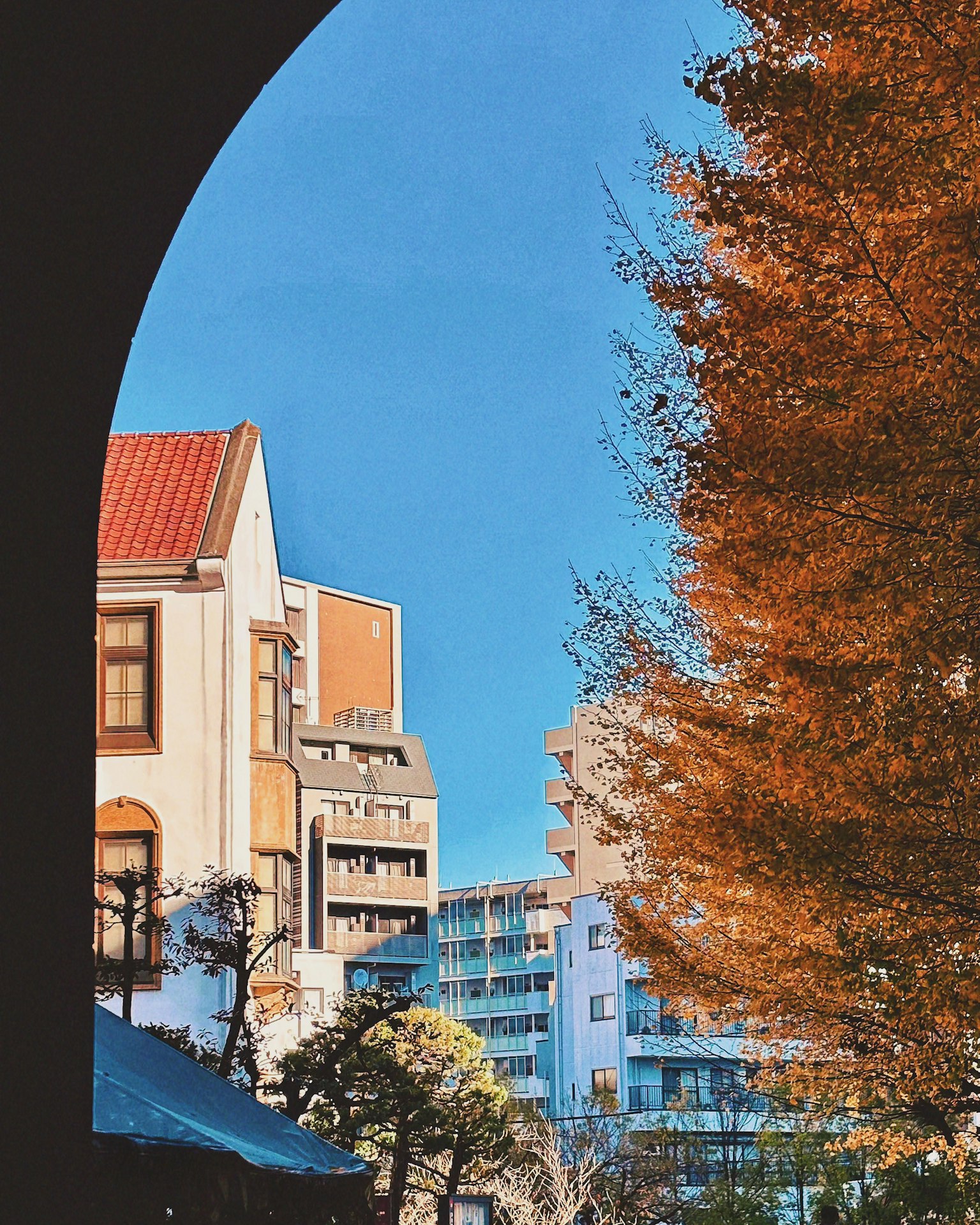 Vista a través de un arco que muestra árboles naranjas y edificios modernos bajo un cielo azul
