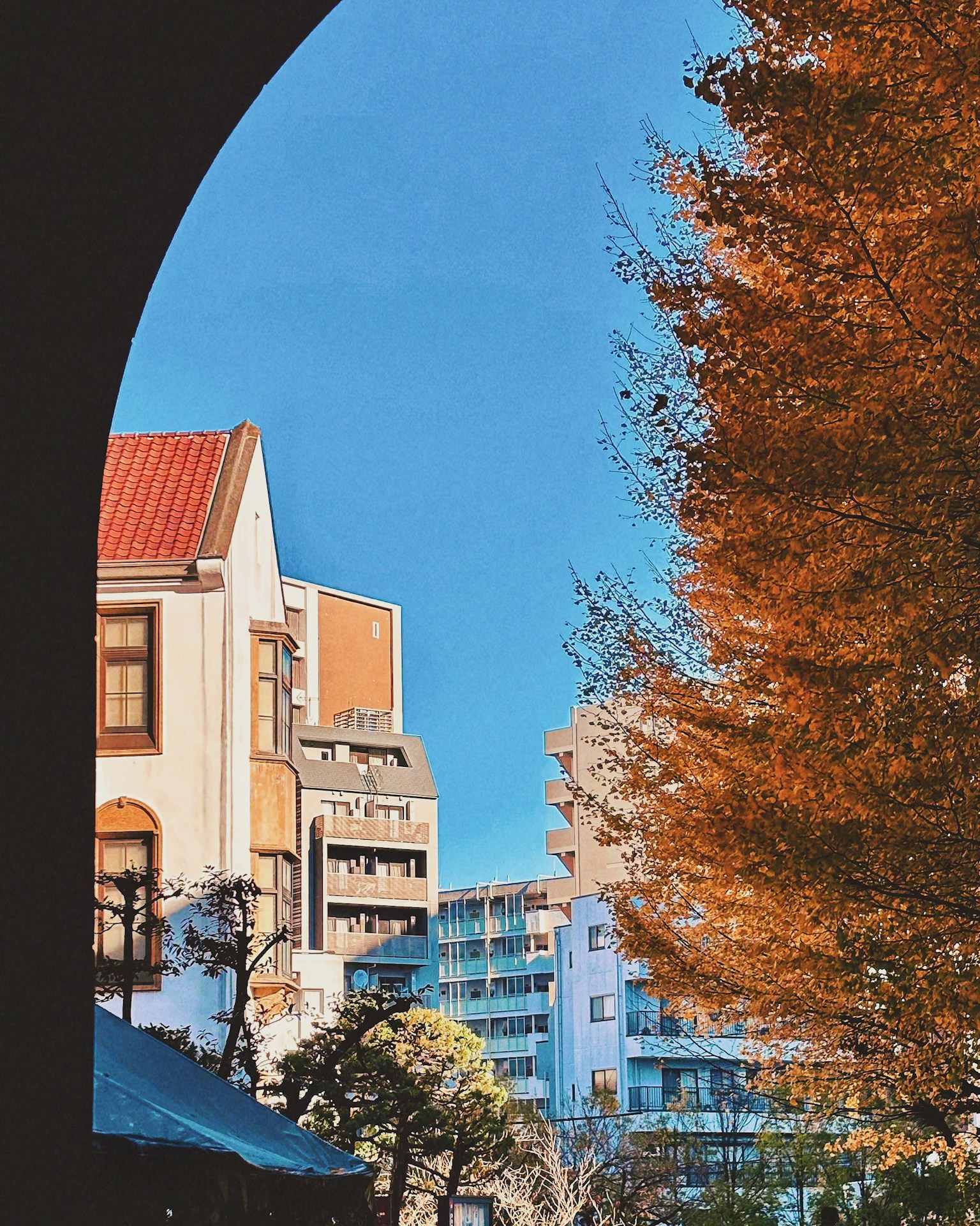 photo-ITSJqCrdXtLhQbqJzBAR-image