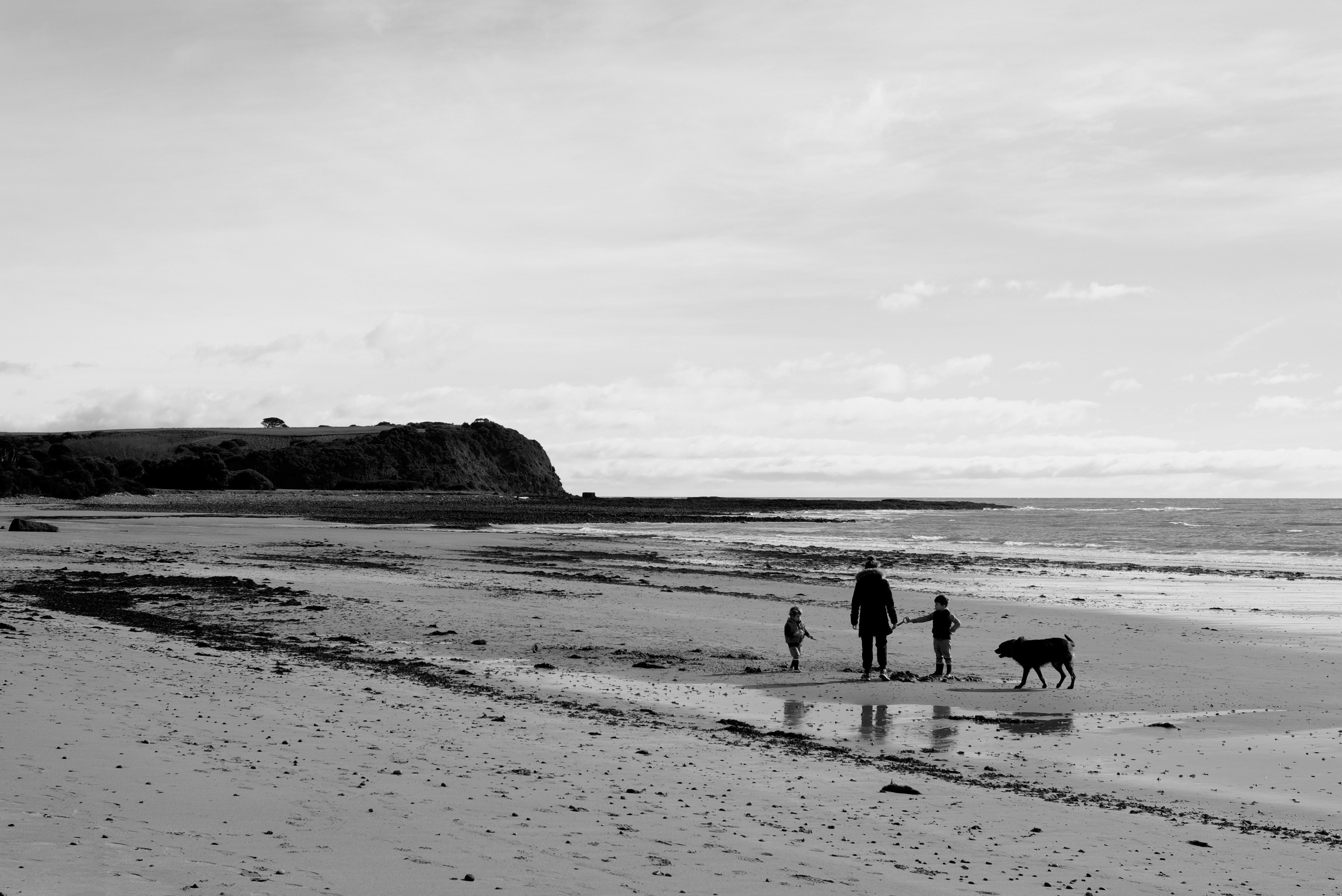 海辺の砂浜と水平線、犬と歩く人々のある風景