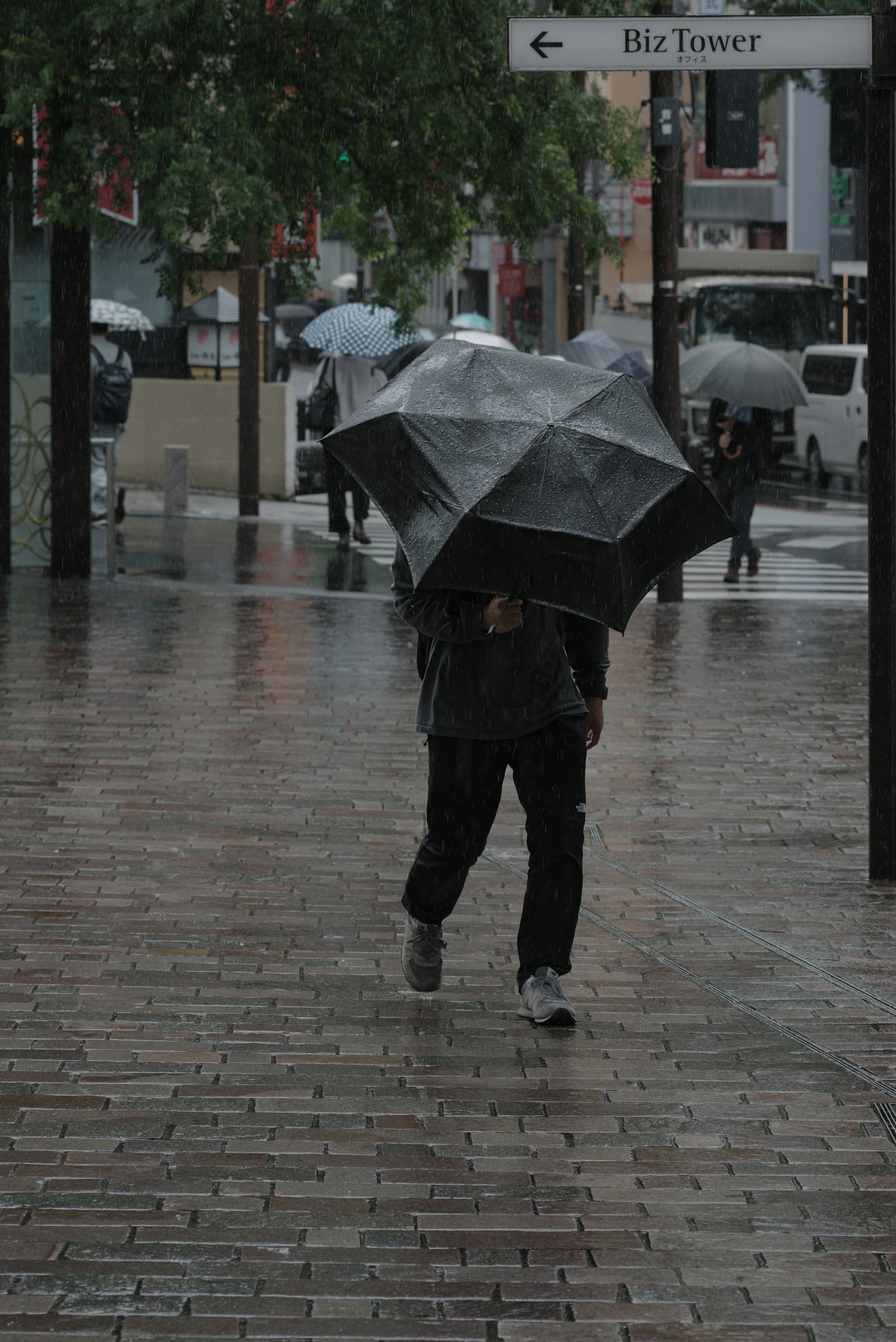 Una persona caminando con un paraguas bajo la lluvia en una calle de la ciudad