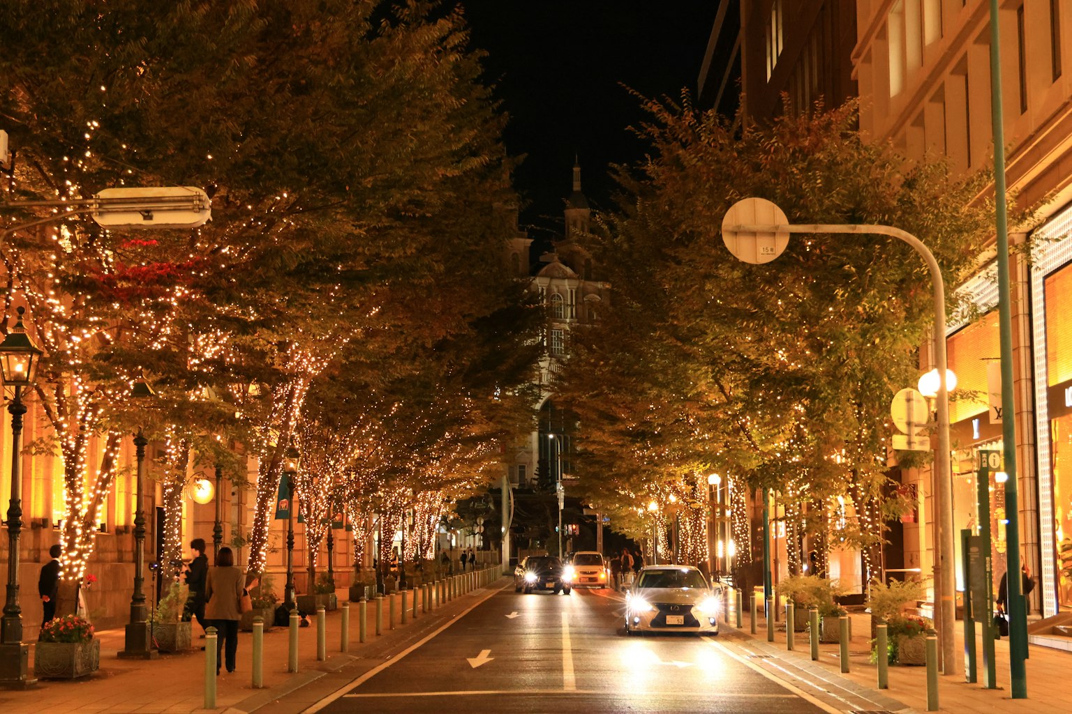 Illuminated trees lining a street at night with passing cars