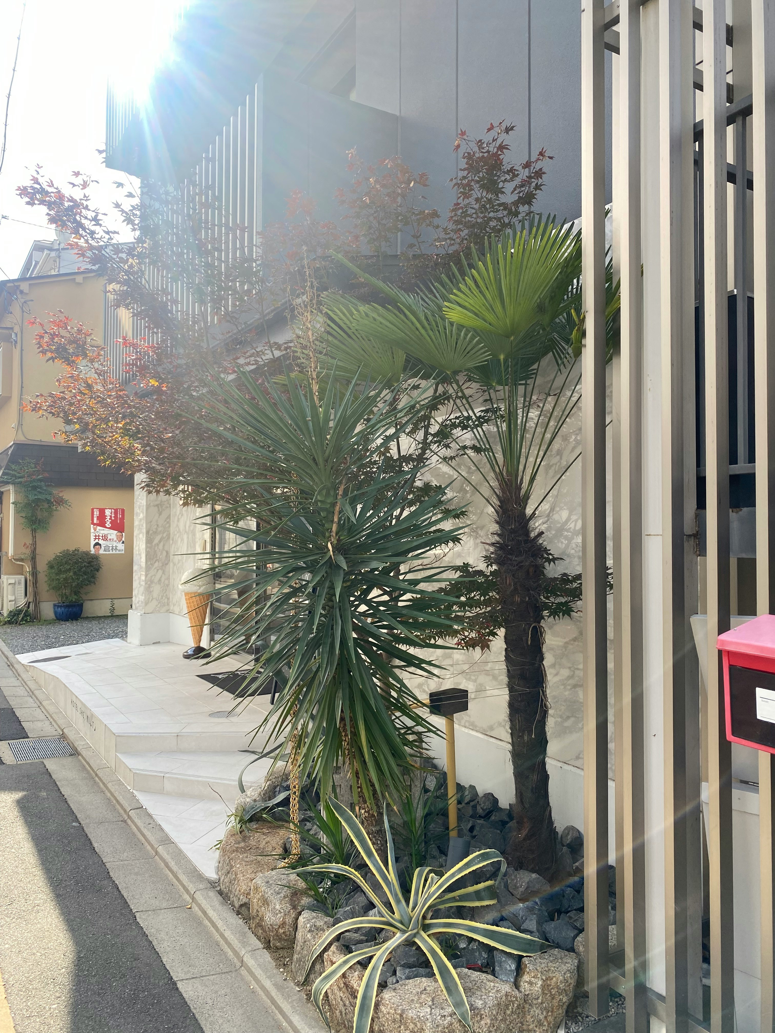 Vegetación exuberante y diseño moderno en un exterior residencial