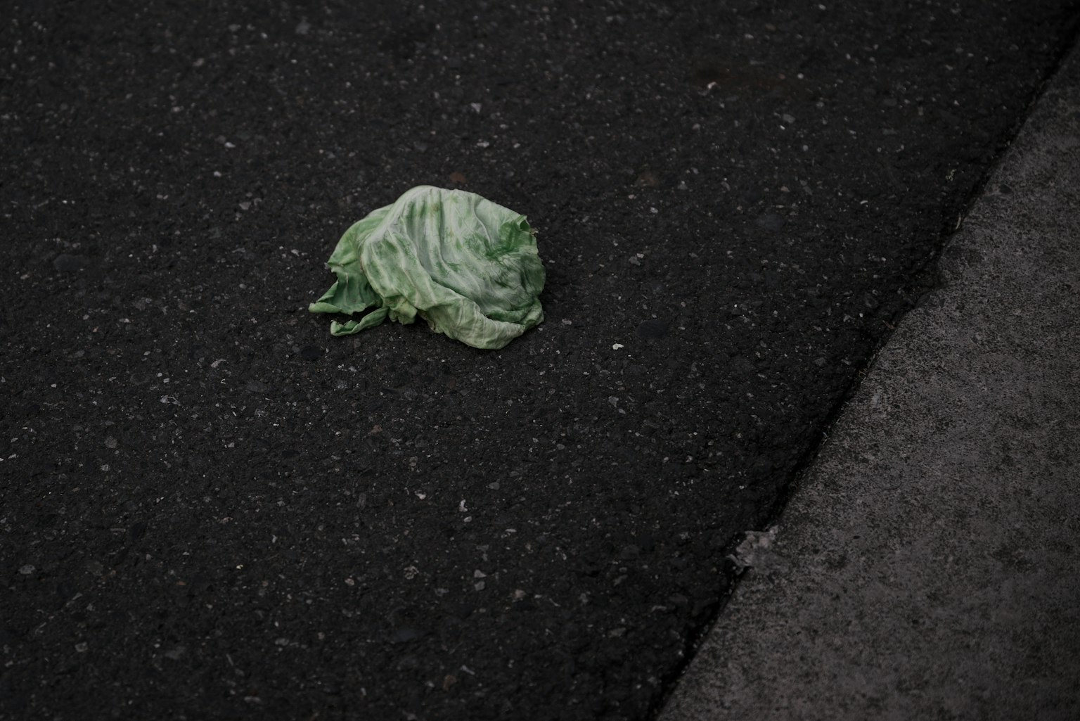 Ein grünes Kohlblatt auf dem Gehweg liegen gelassen