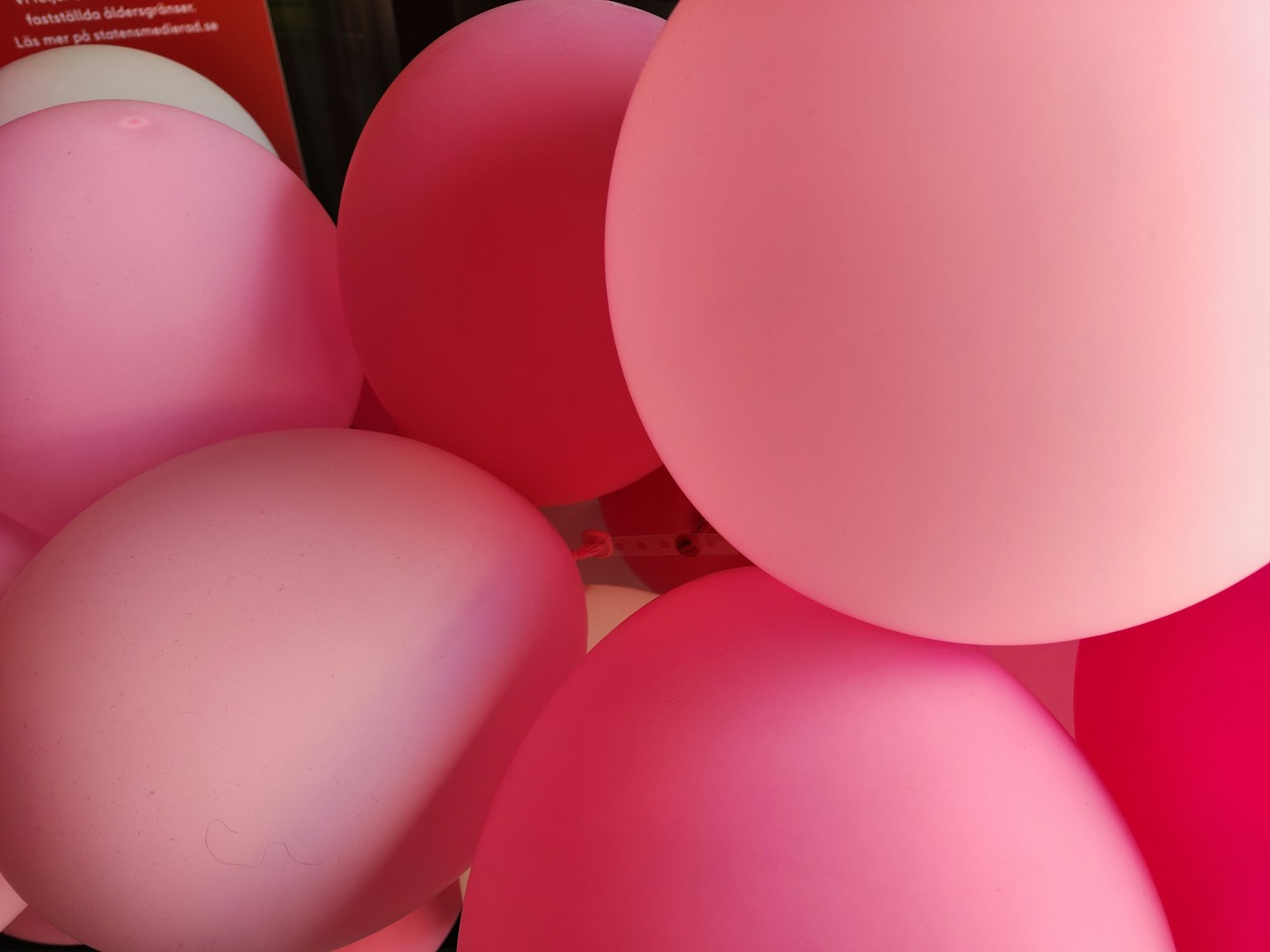 Ein Haufen rosa Luftballons in verschiedenen Schattierungen