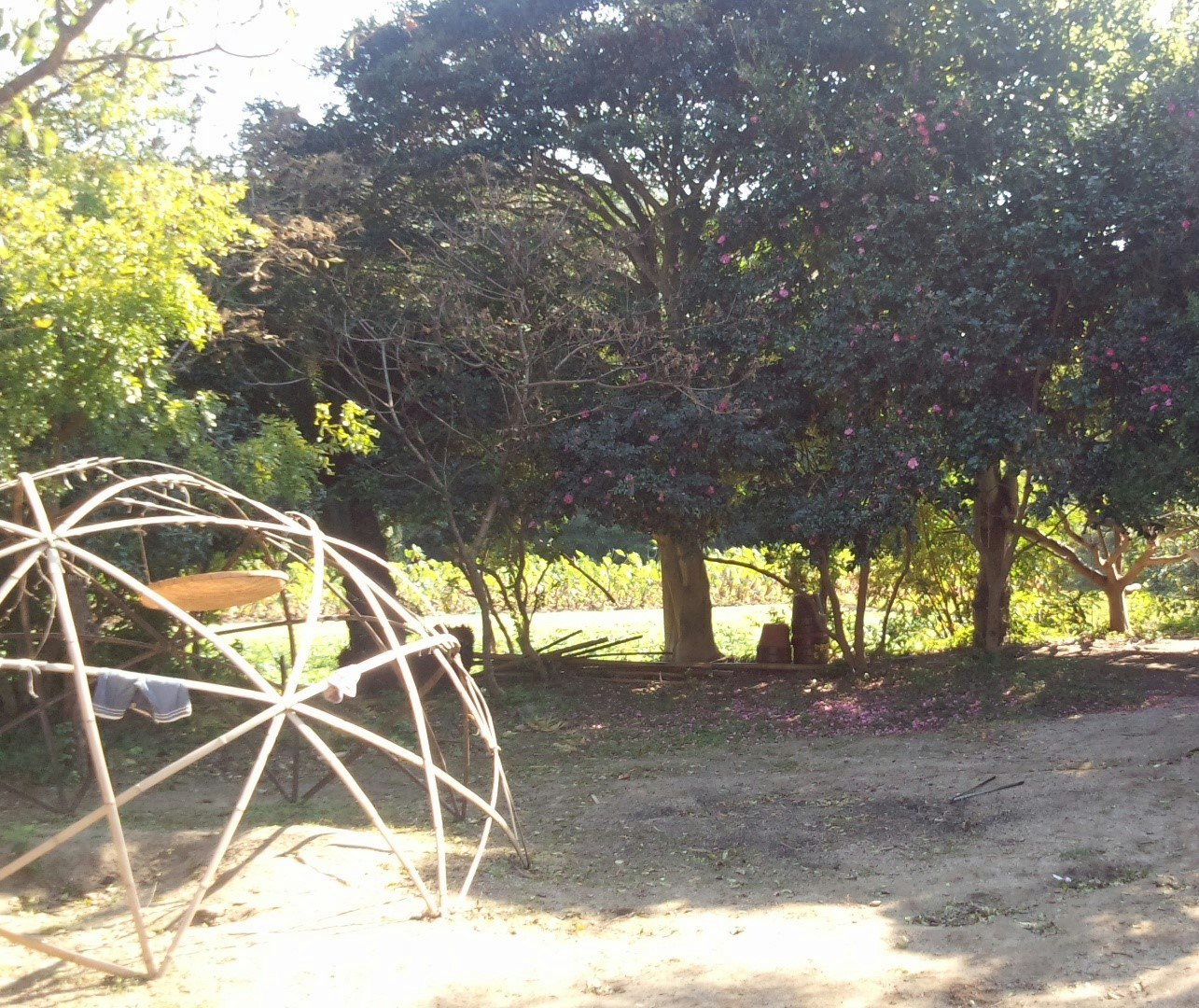 garden path and grassy area surrounded by trees