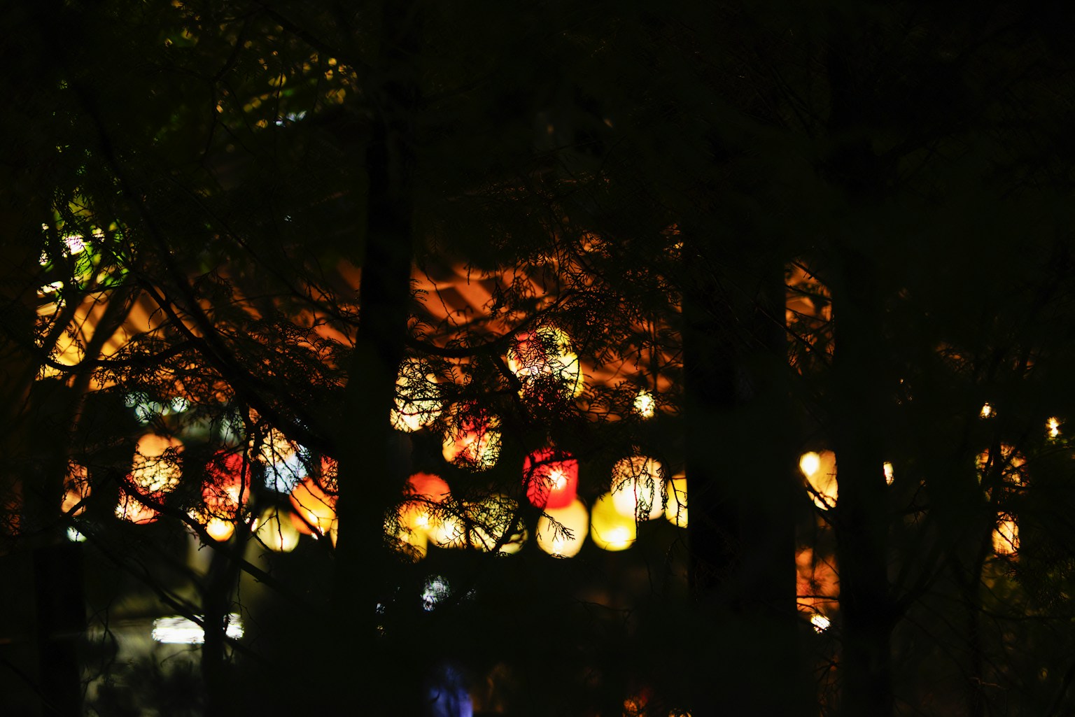 Lanternine colorate illuminate di notte visibili tra gli alberi