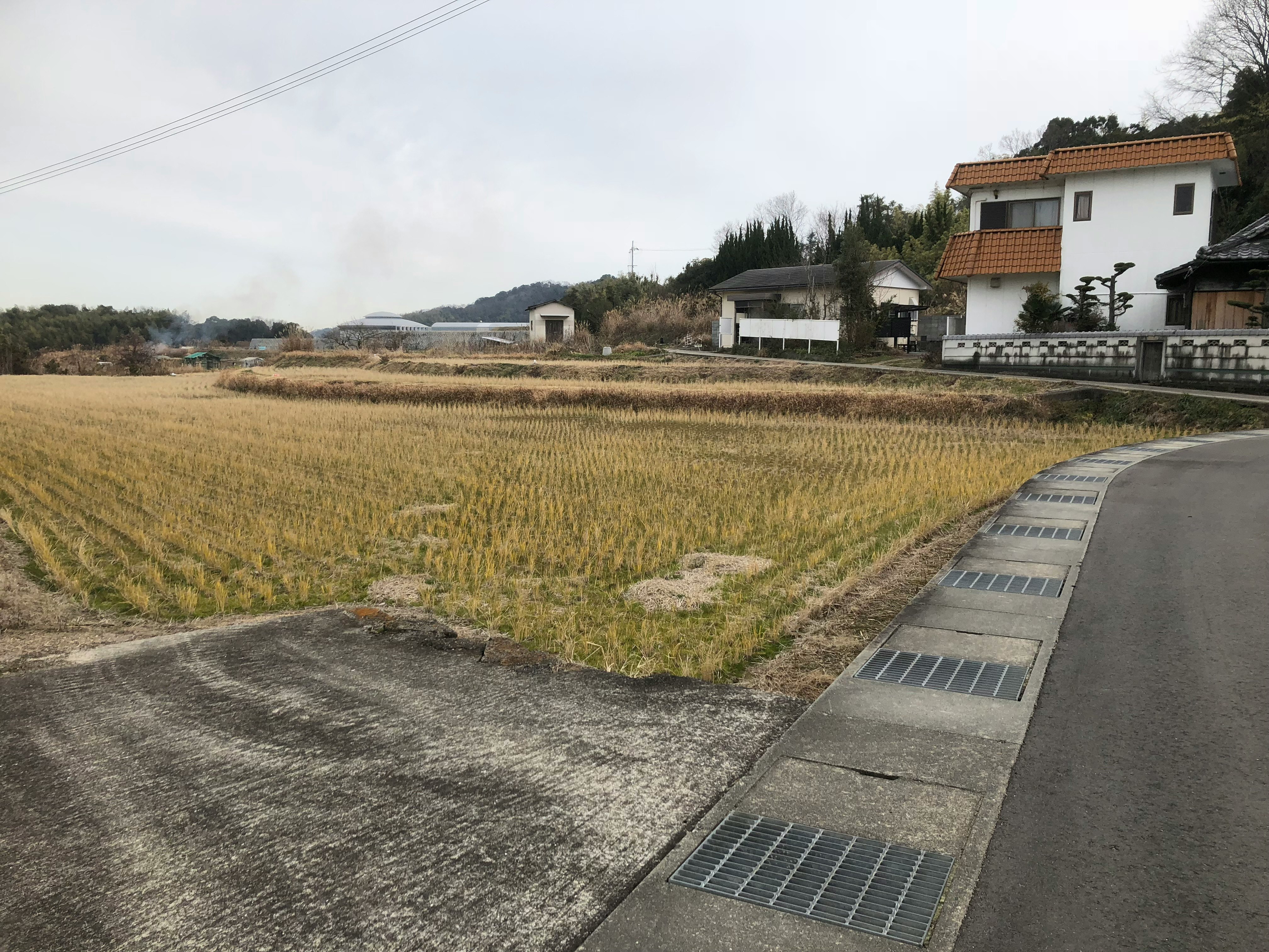 田んぼのある通学路で水路沿いに並ぶソーラーパネル