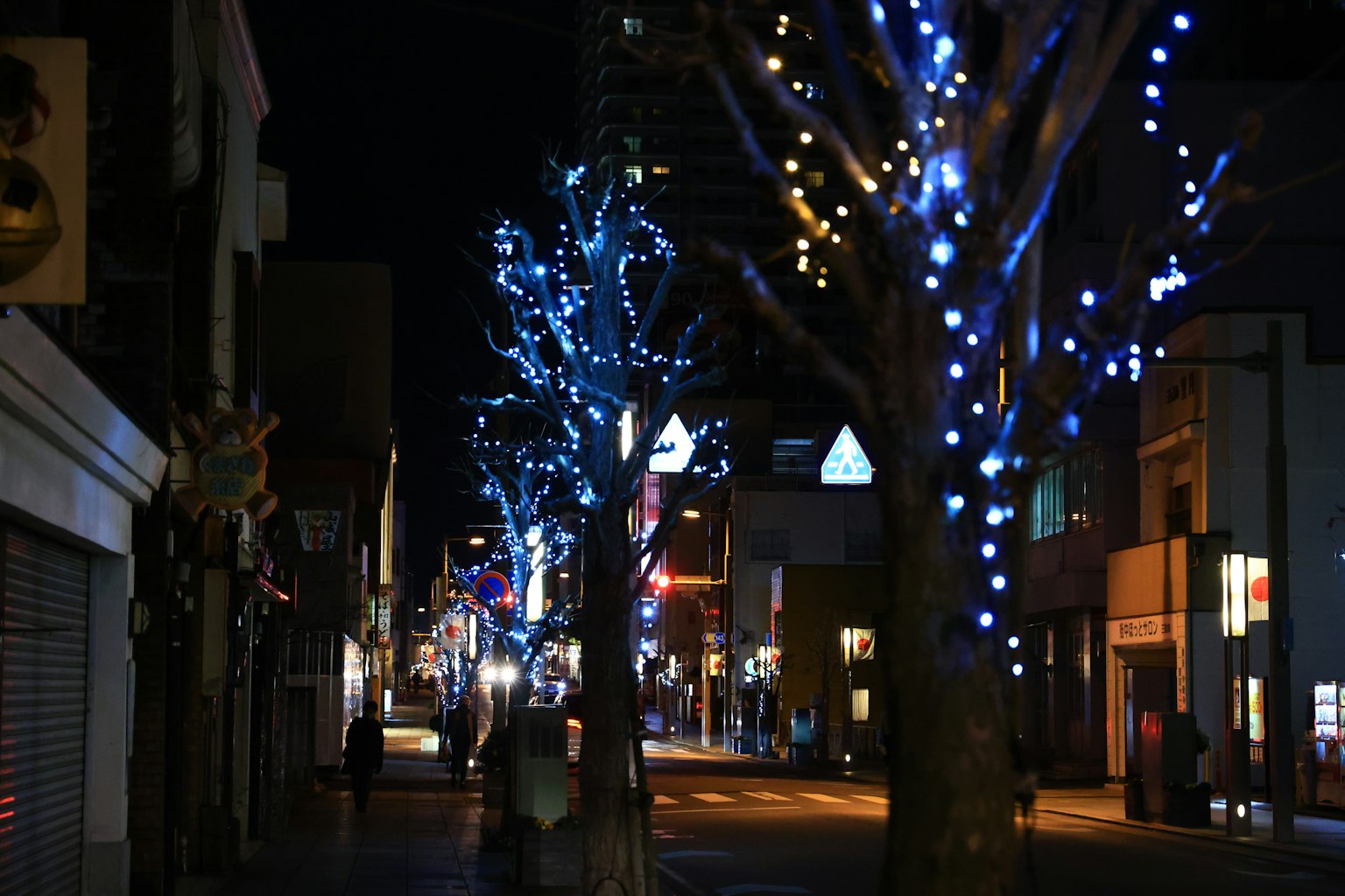 ฉากถนนยามค่ำคืนที่มีต้นไม้ประดับไฟสีน้ำเงิน