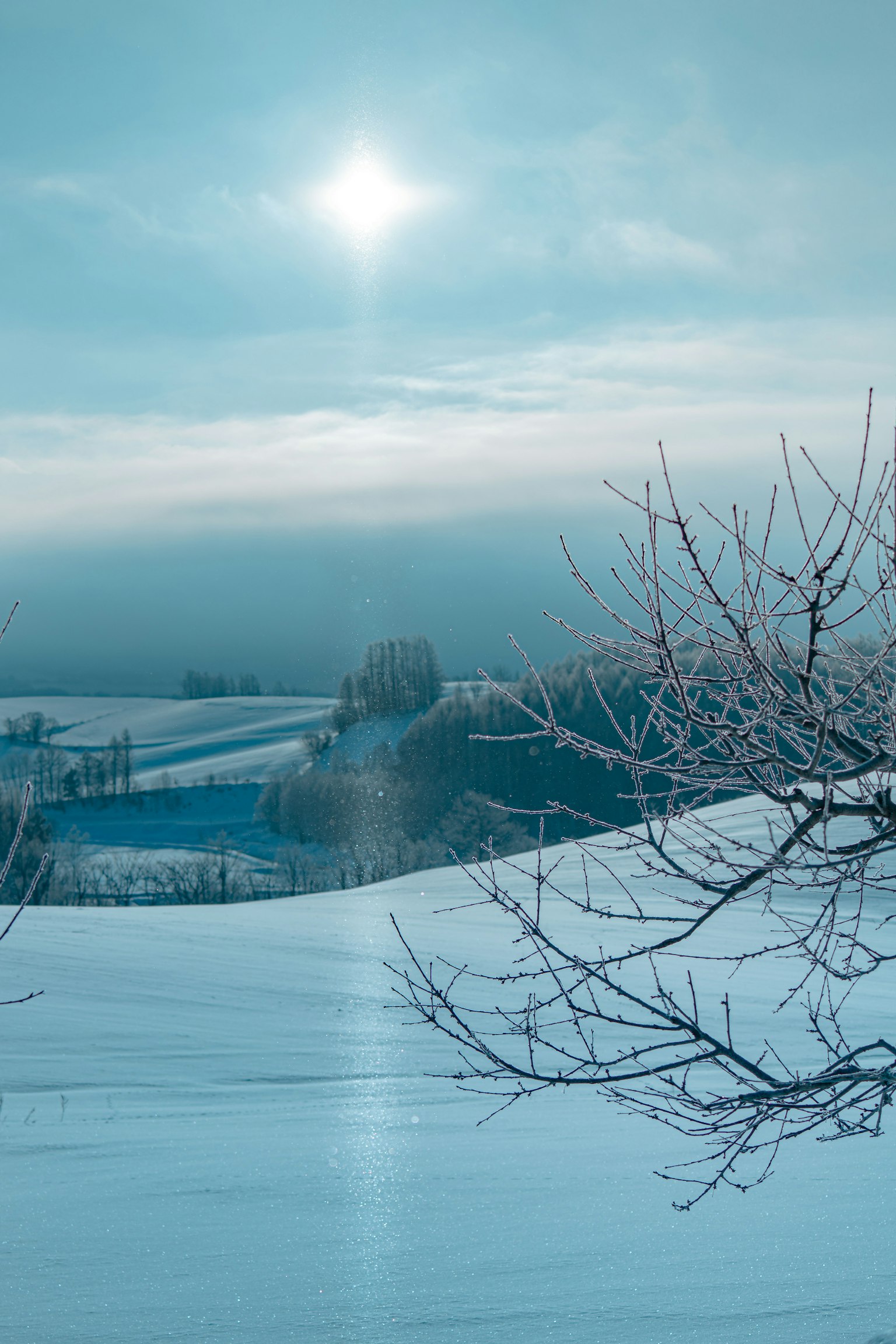 冬季景觀藍色天空雪覆蓋的山丘冰凍的樹枝柔和的陽光
