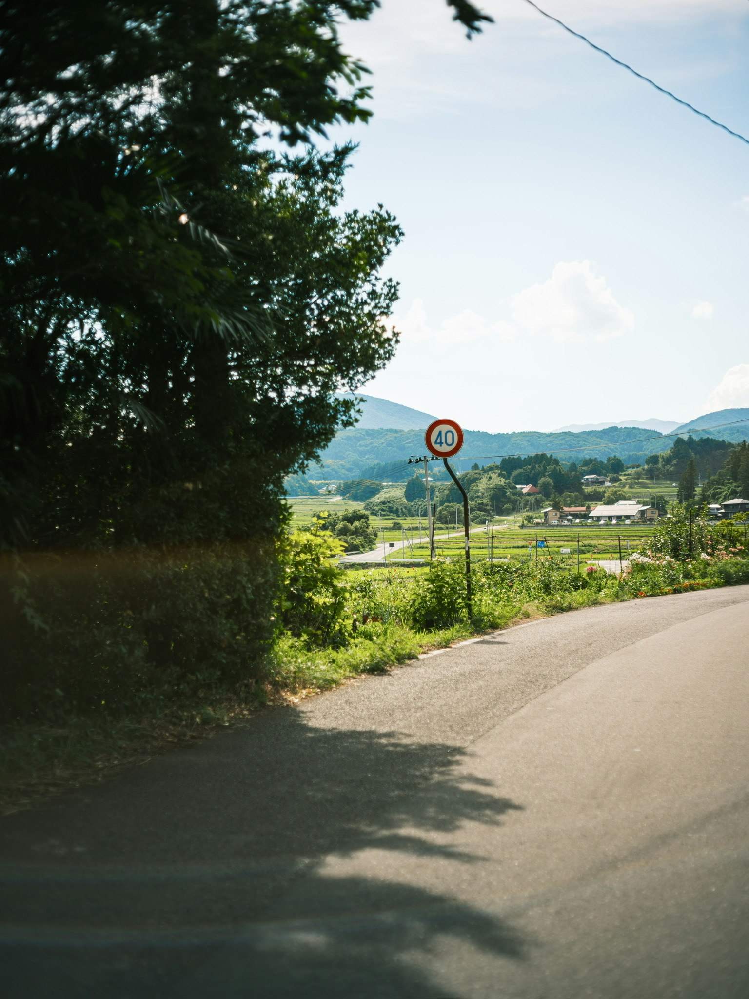 緑の木々と田園風景が広がる曲がり道