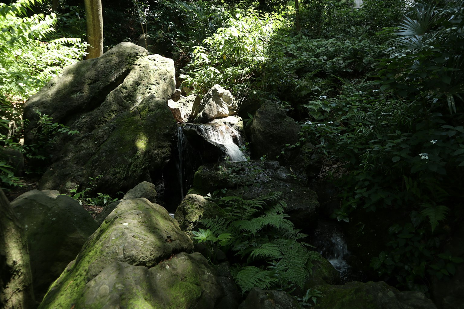 Un pequeño arroyo que fluye entre grandes rocas rodeadas de follaje verde