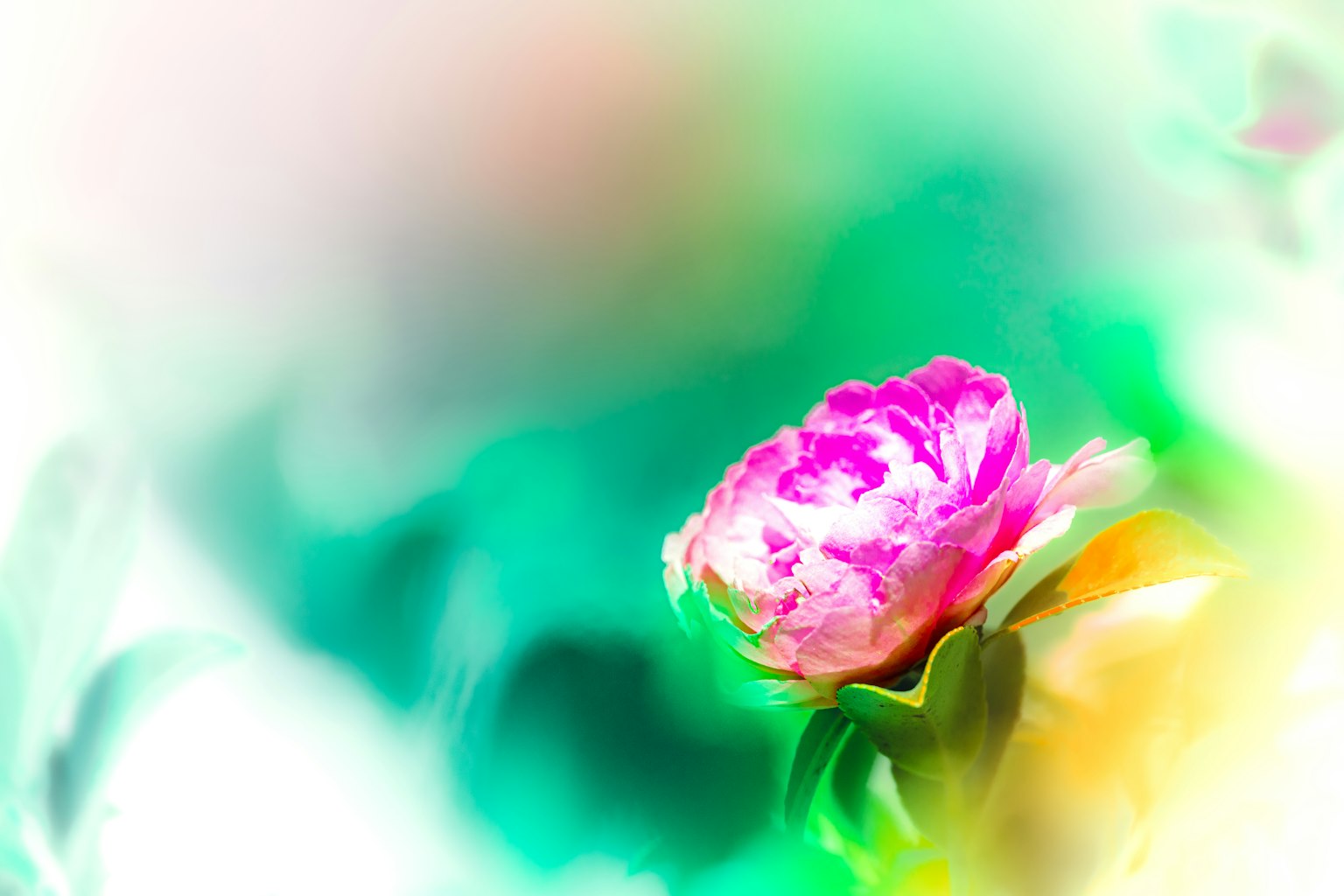 photo-IYQpxrMQuk3emAqkL3Kc-image