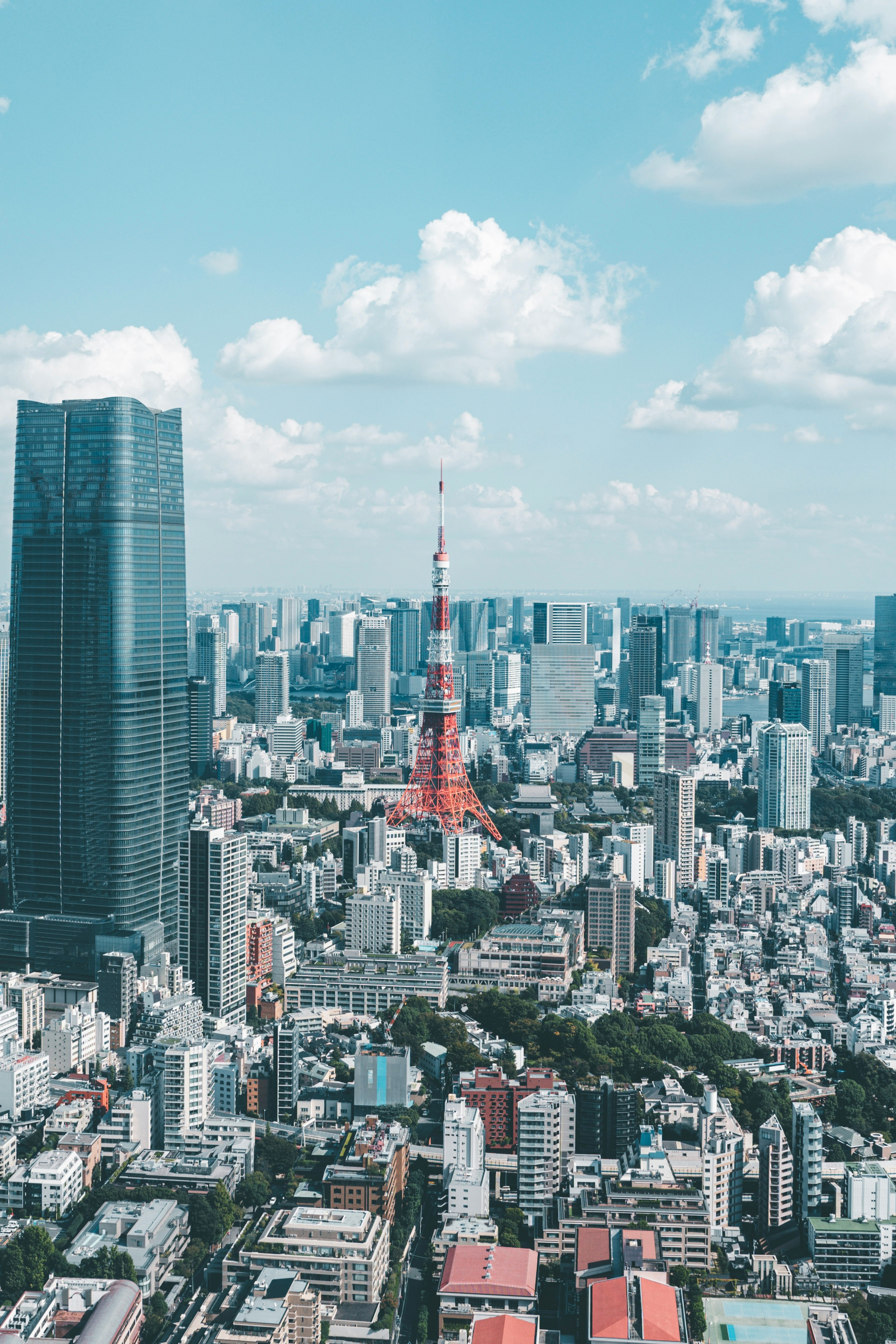 東京の高層ビル群とスカイツリーが見える都心の眺望