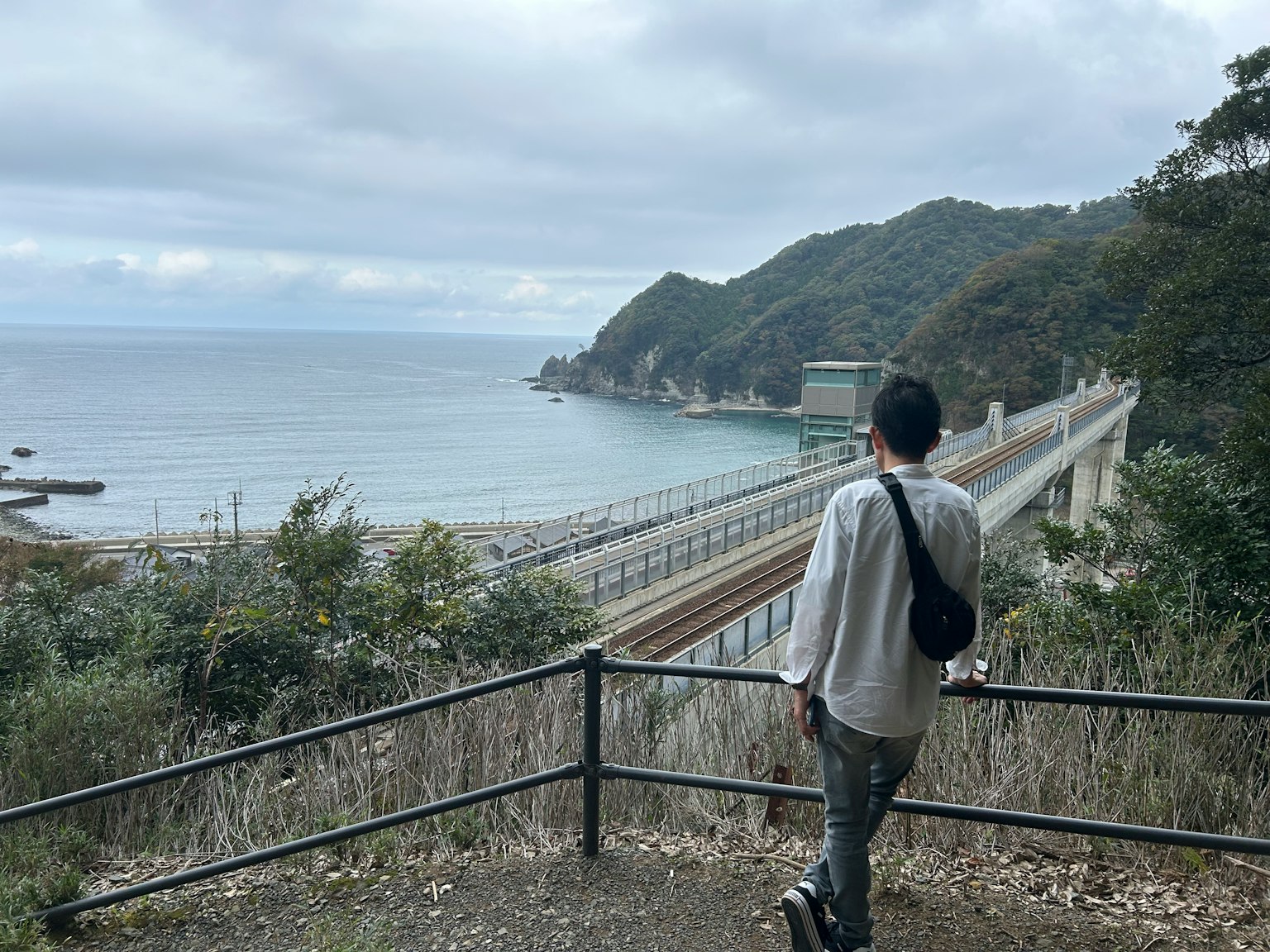 一个男人背对镜头，俯瞰海岸和背景的山脉