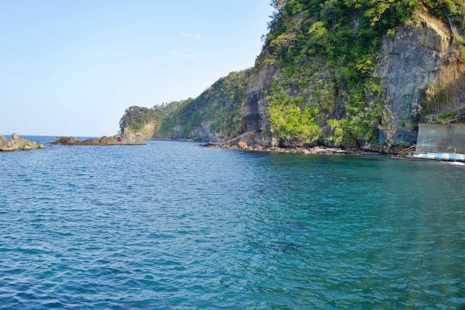 Scenic coastline with clear blue water and lush green cliffs