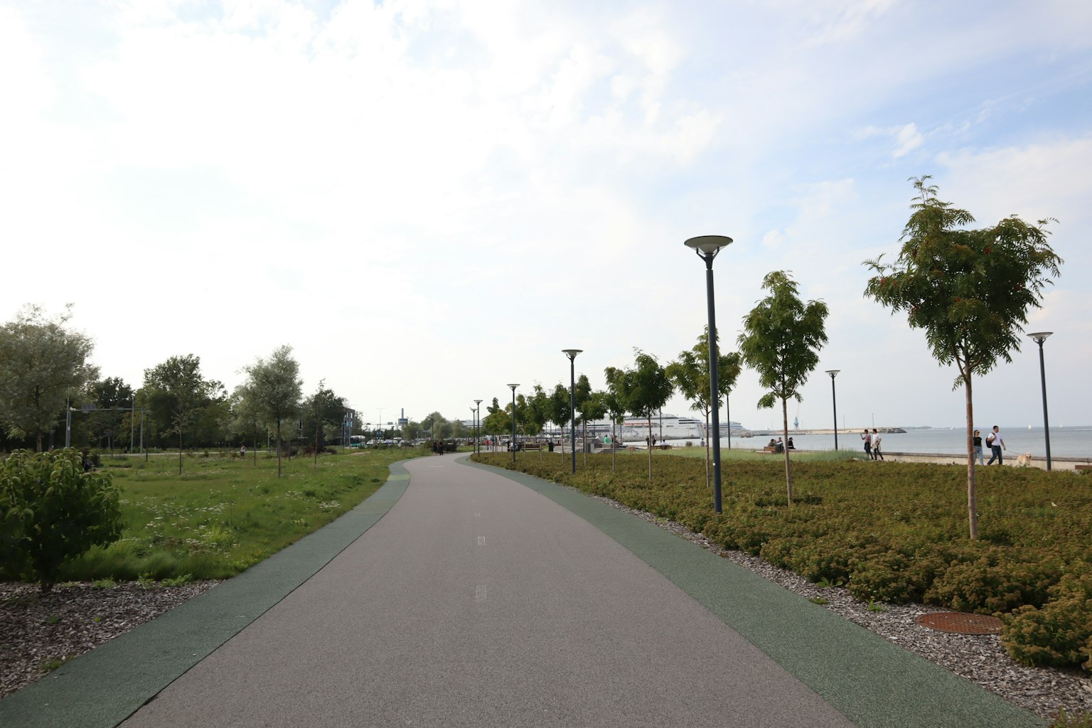 Jalan setapak taman yang dikelilingi pohon dan rumput hijau
