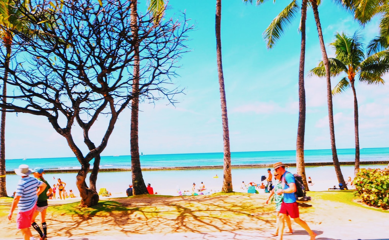 Personas caminando en una playa con mar azul y palmeras