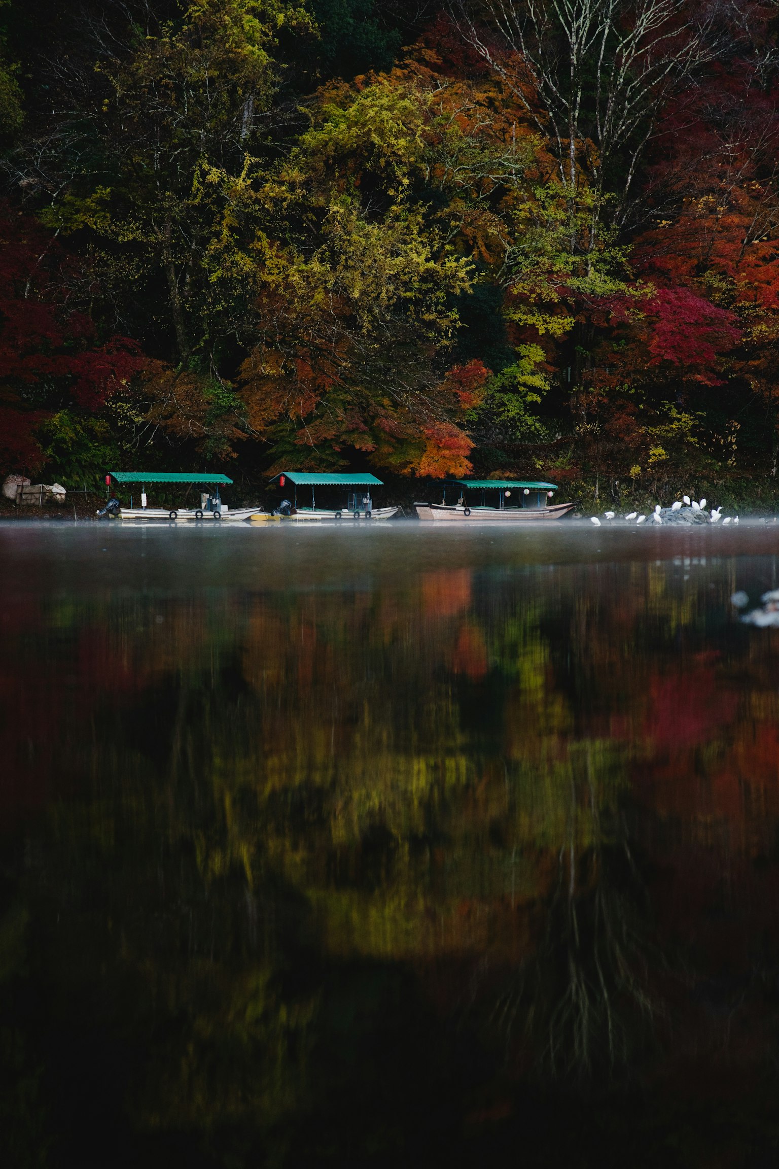 Serene lake reflecting autumn leaves and small boats