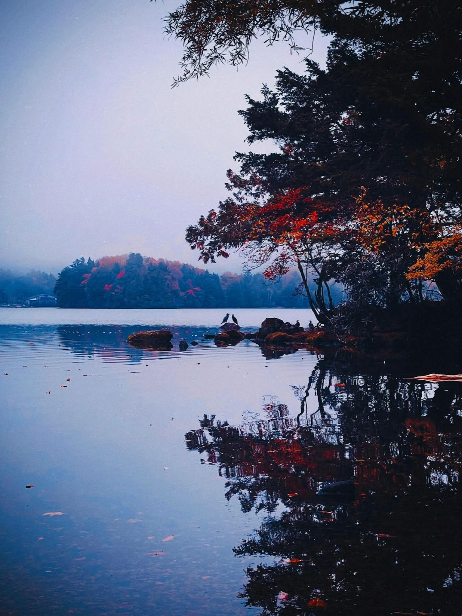 静かな湖の風景に映る秋の紅葉と霧の中の木々