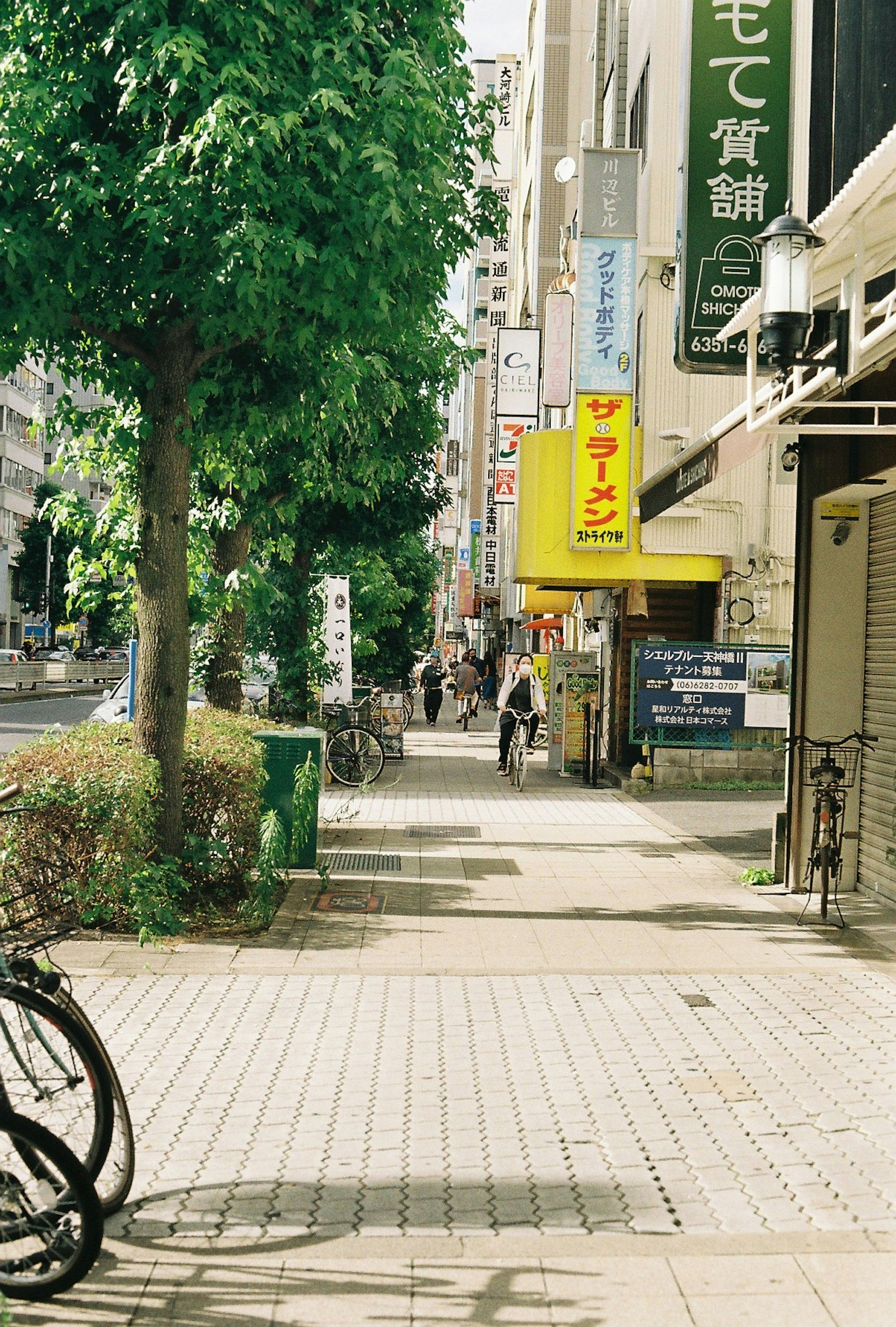 Eine lebhafte Straße mit grünen Bäumen und einem parkenden Fahrrad