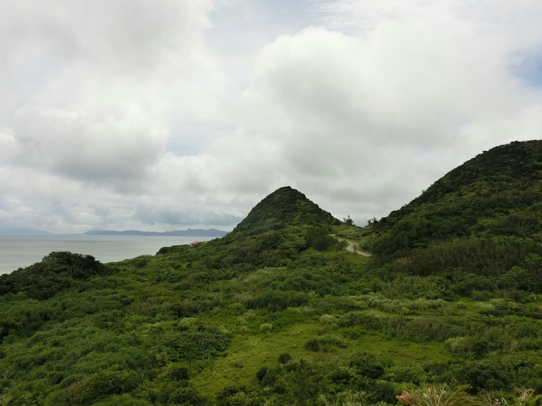 石垣島の緑の丘と海を望む風景
