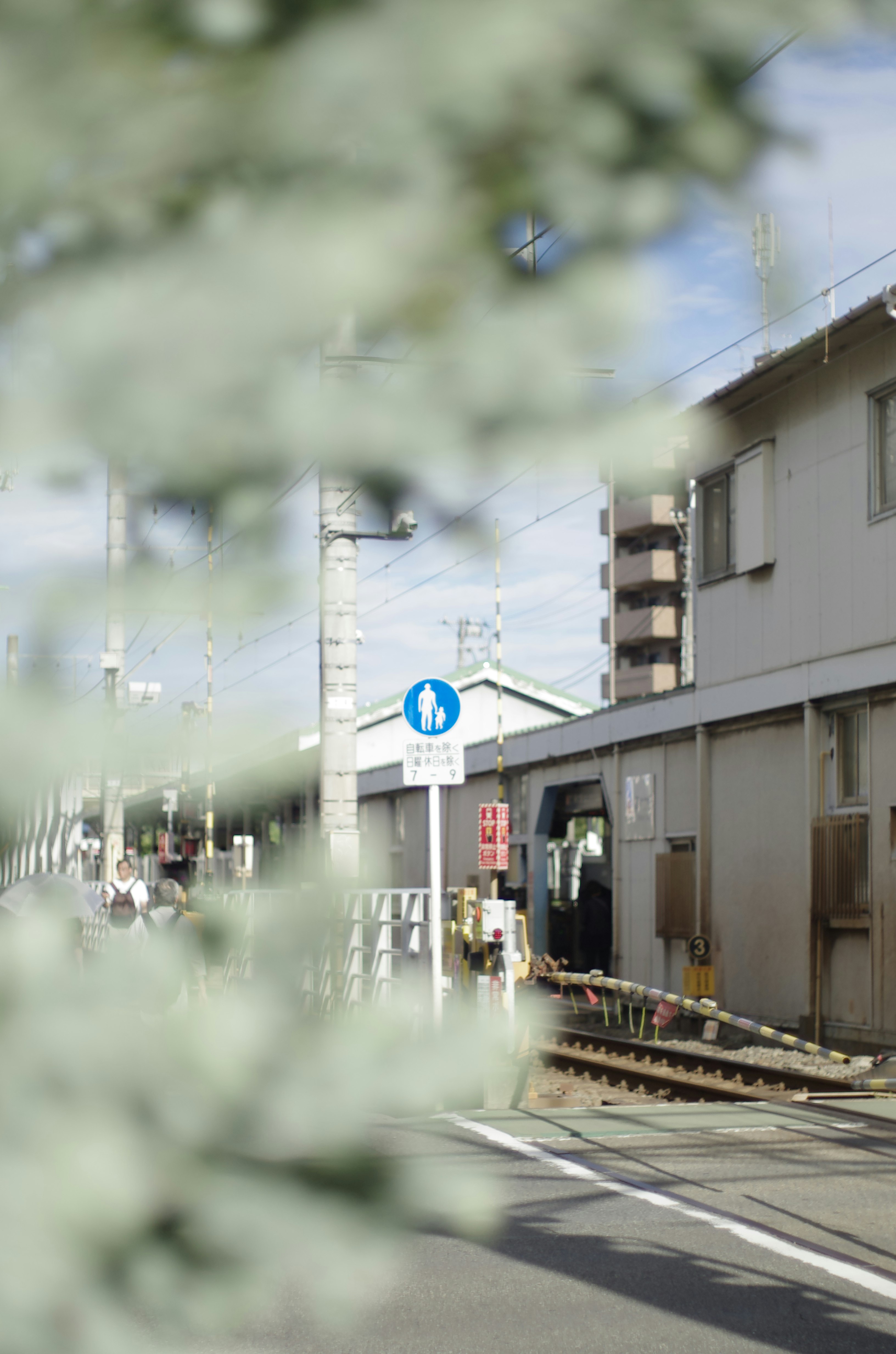 木々の間から見える線路沿いの街並み