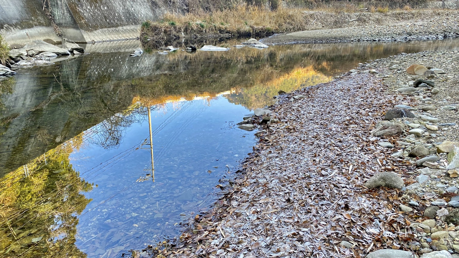 寧靜的河流場景，平靜的水面映照著景色，岸邊散落著樹葉
