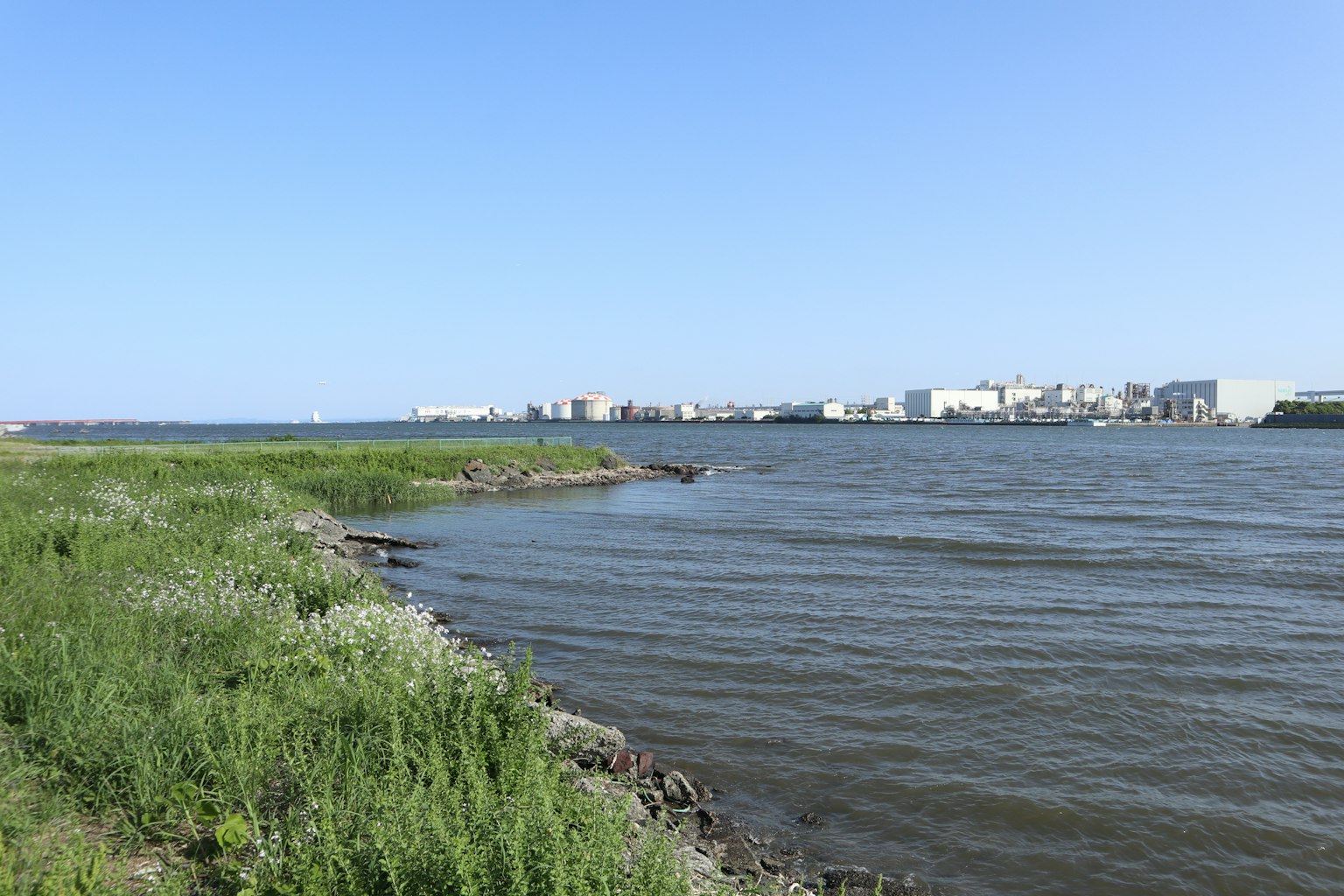 Panoramic view of a riverbank with green grass and calm water