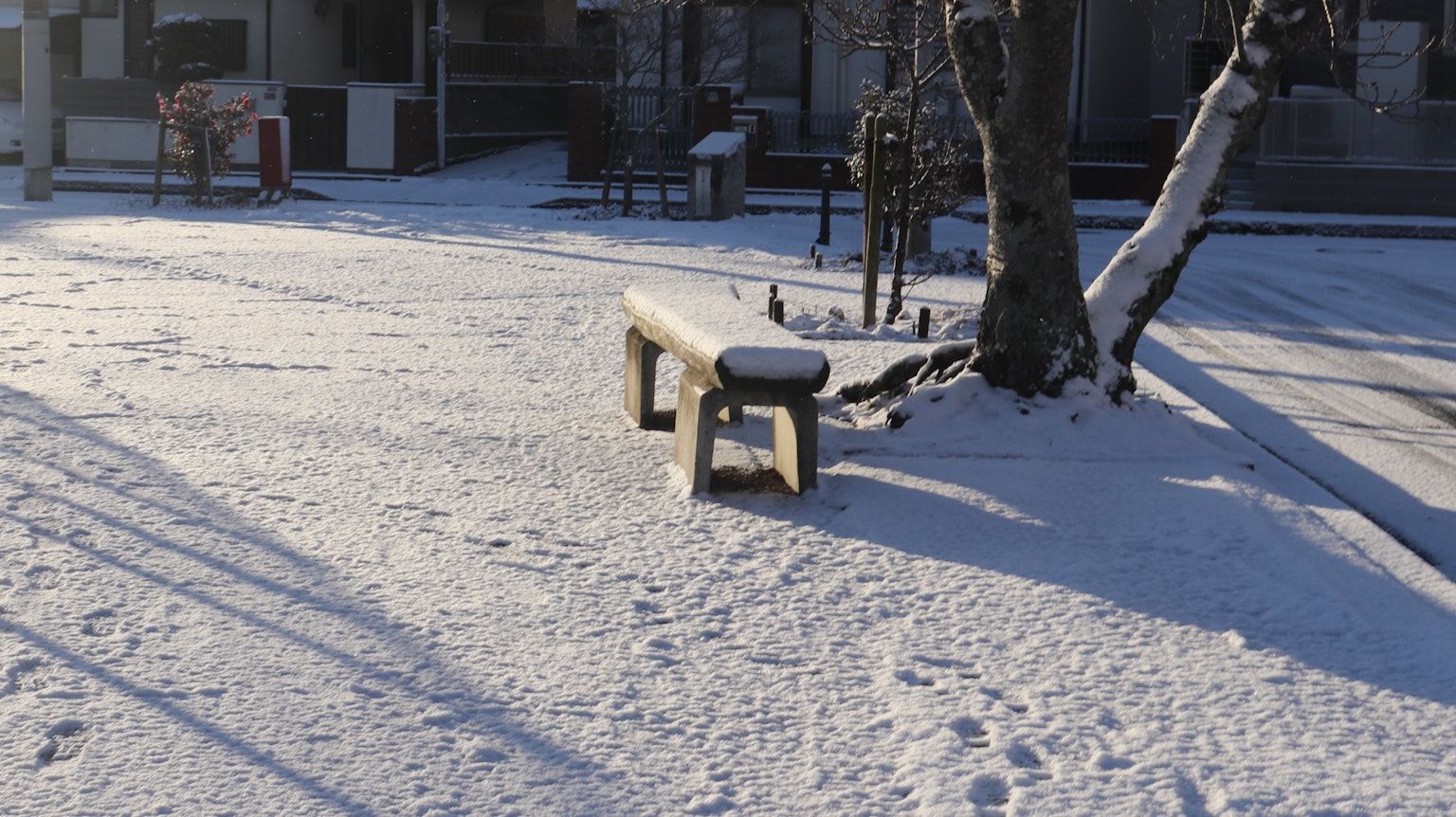 Parkbank und Baum mit Schnee bedeckt