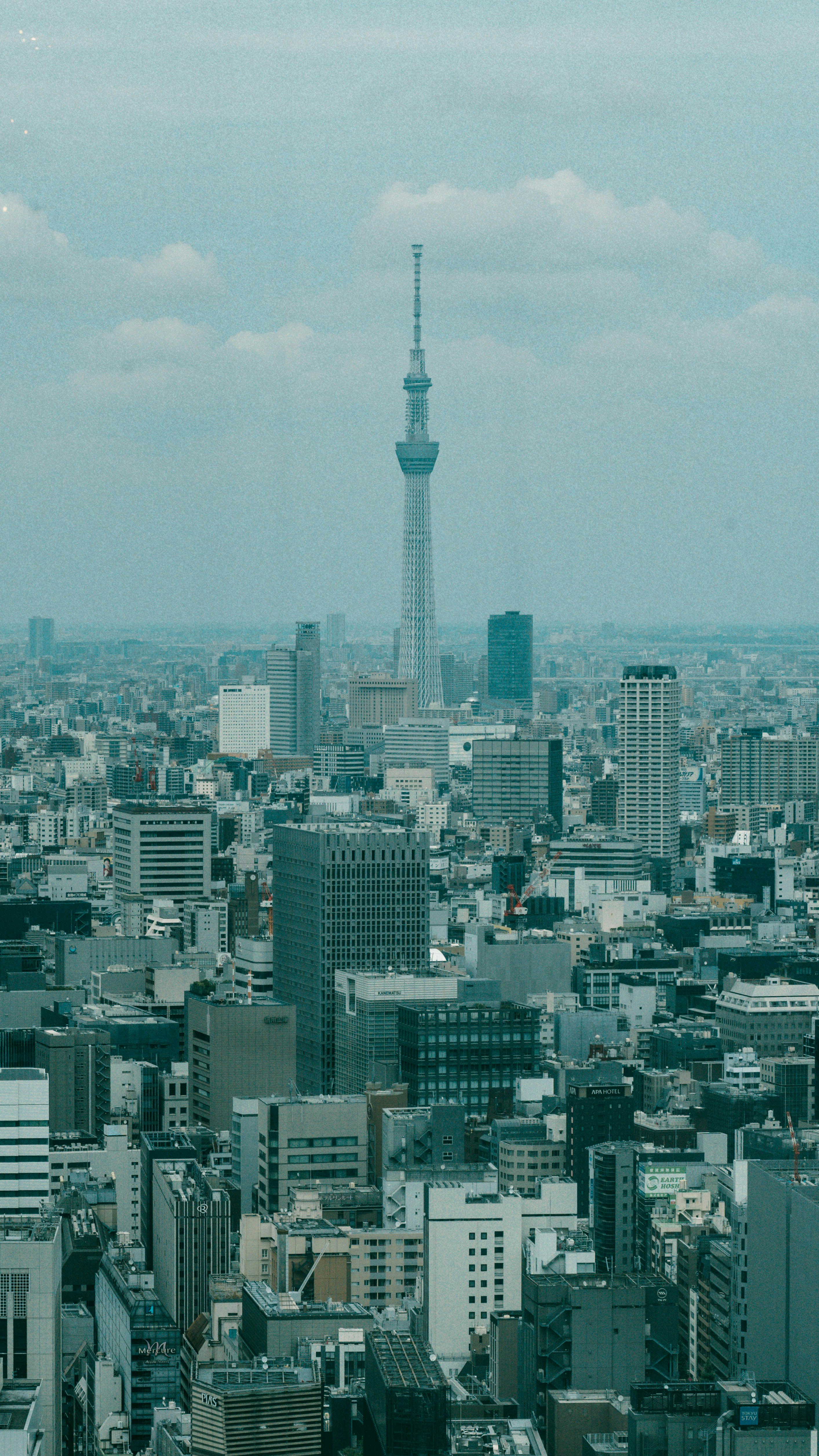 東京の高層ビル群とスカイツリーが見える都市の眺望