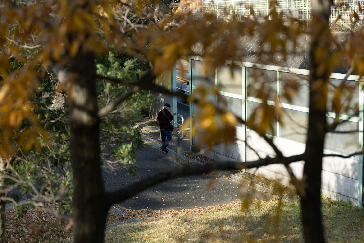 View of people walking near a building framed by autumn leaves