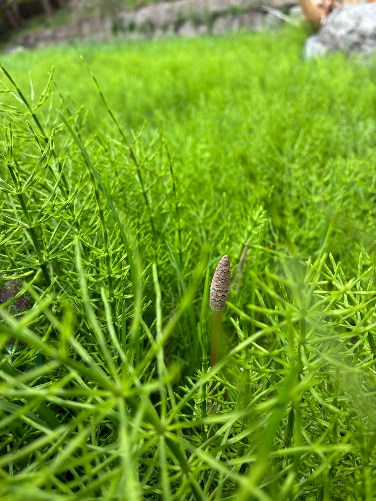 Diseño gráfico simple con fondo oscuro