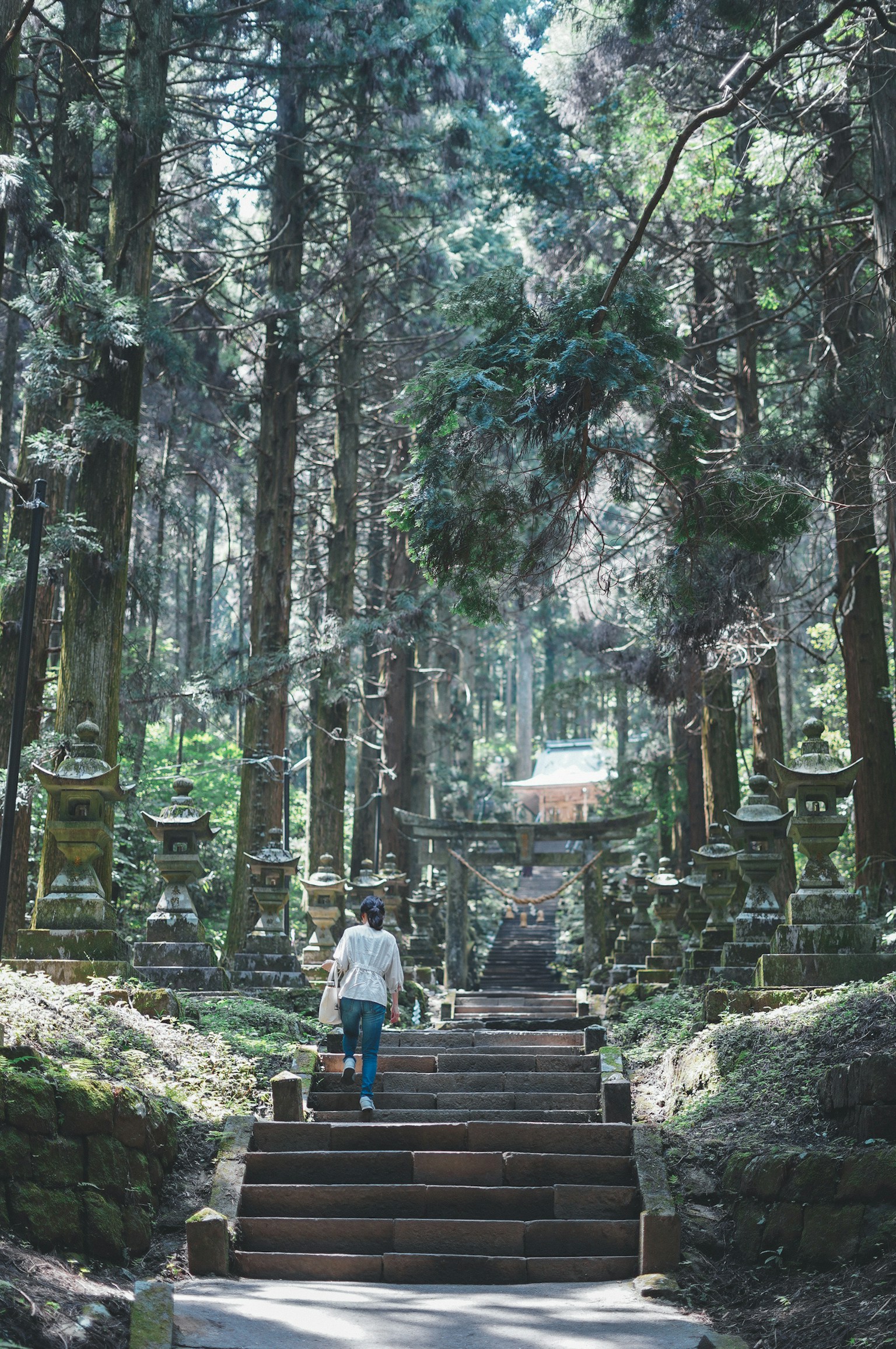 A person walking up wooden steps in a forest with ancient stone monuments