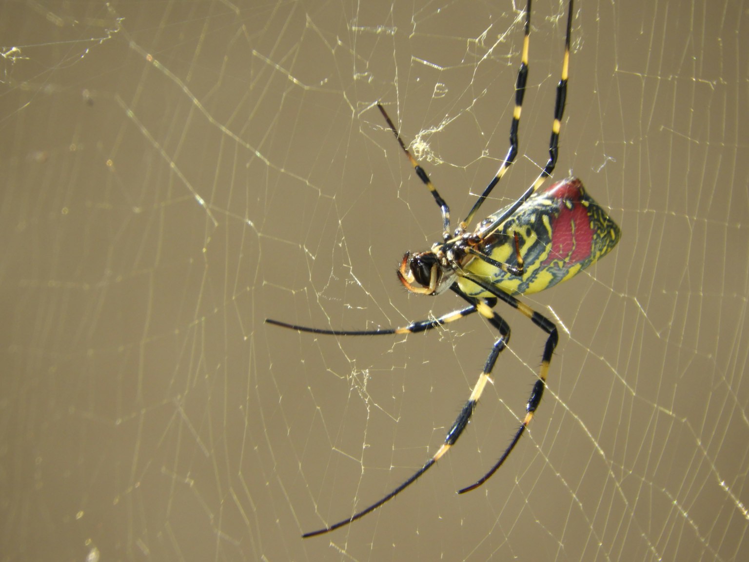 photo-IeEpFX9urCGIaW8sMjTa-image